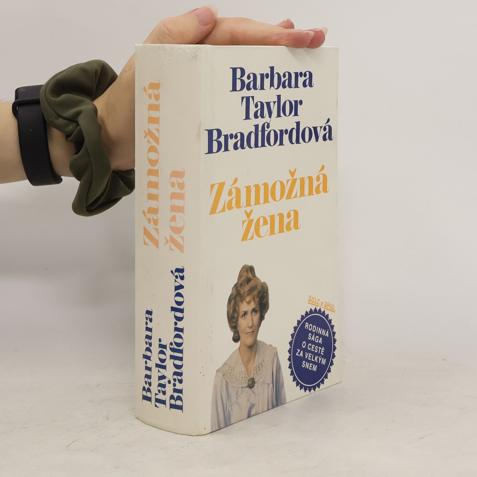 Barbara Taylor Bradford Zámožná žena