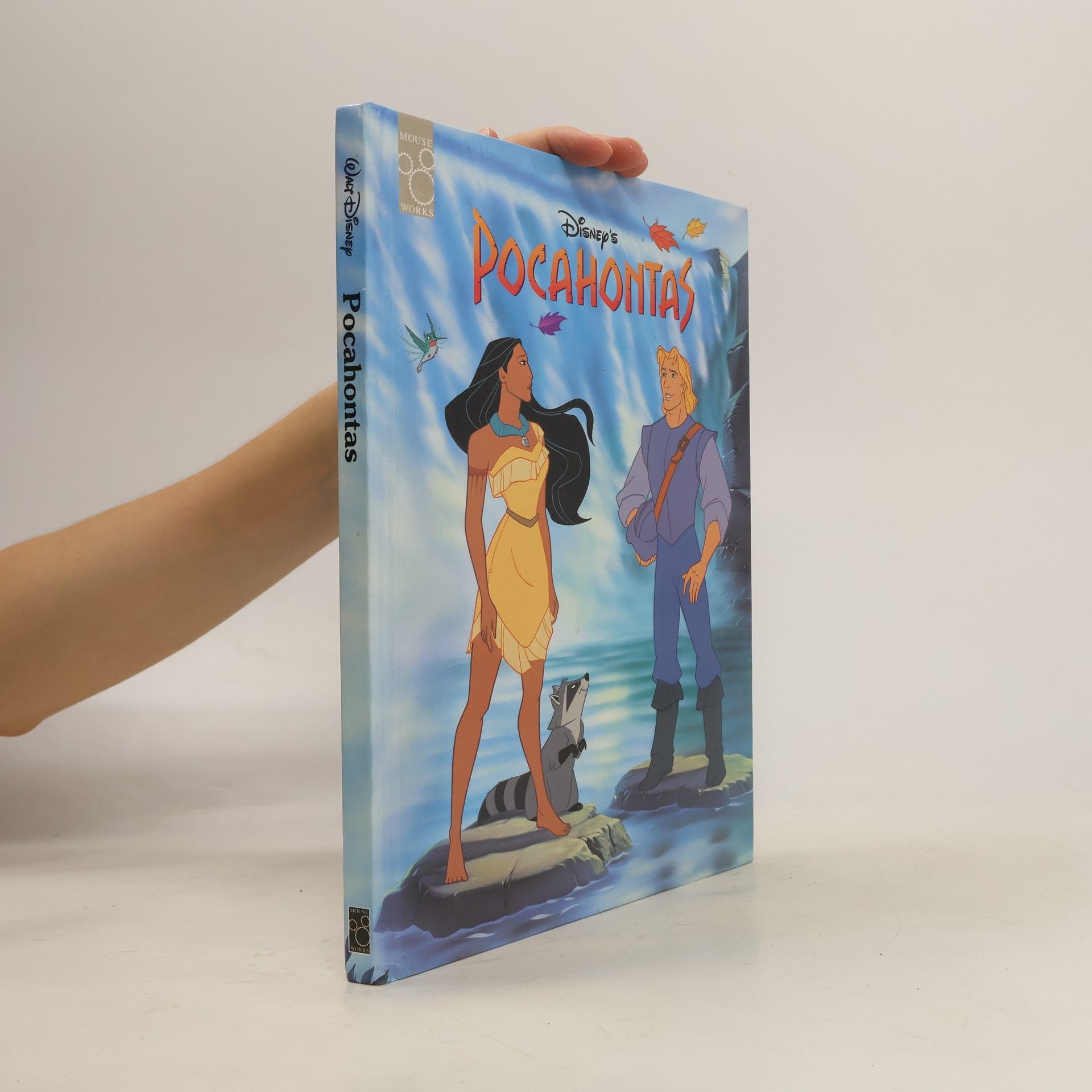 Collective Disney's Pocahontas