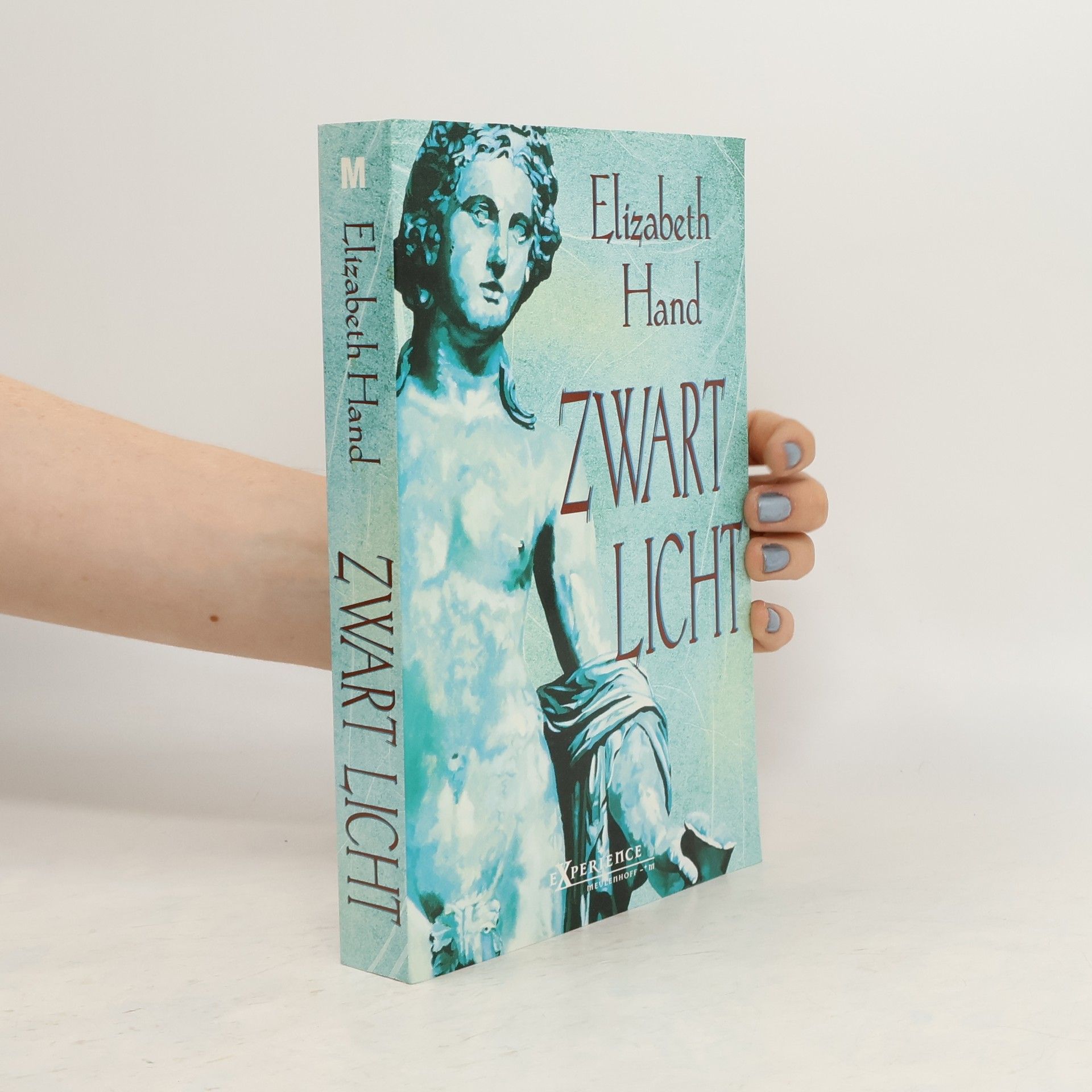 Elizabeth Hand Zwart licht
