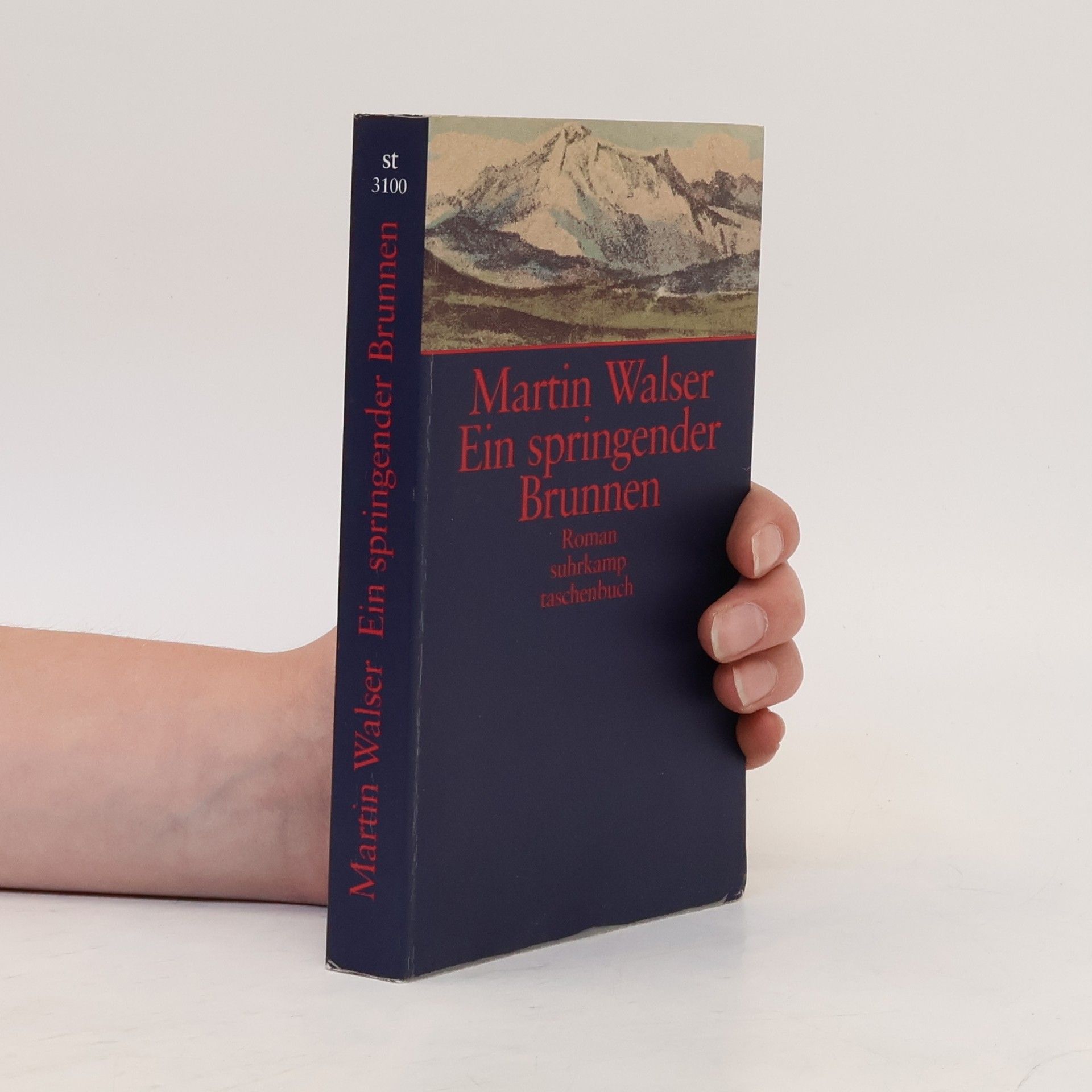 Martin Walser Ein springender Brunnen