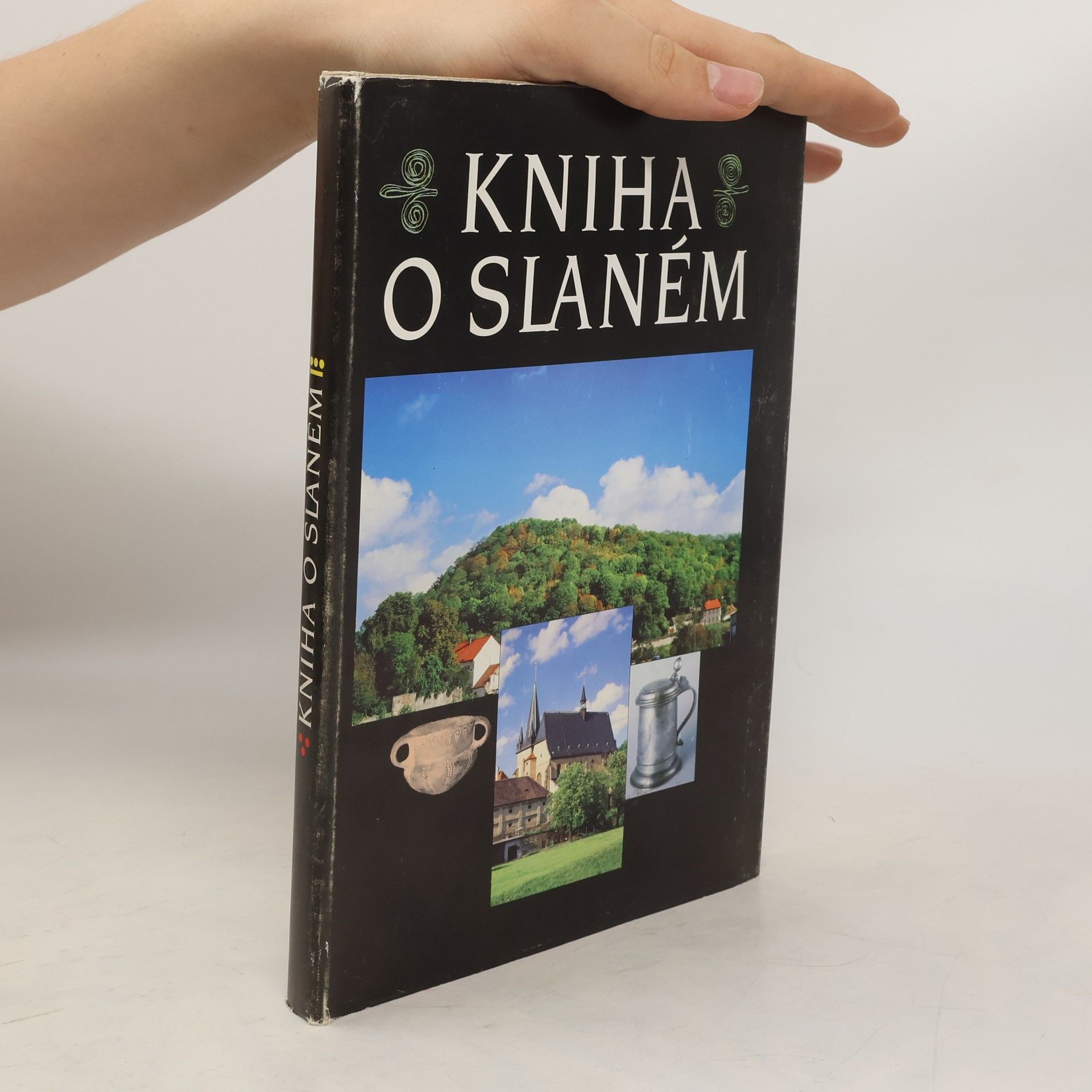 Zora Dvořáková Kniha o Slaném