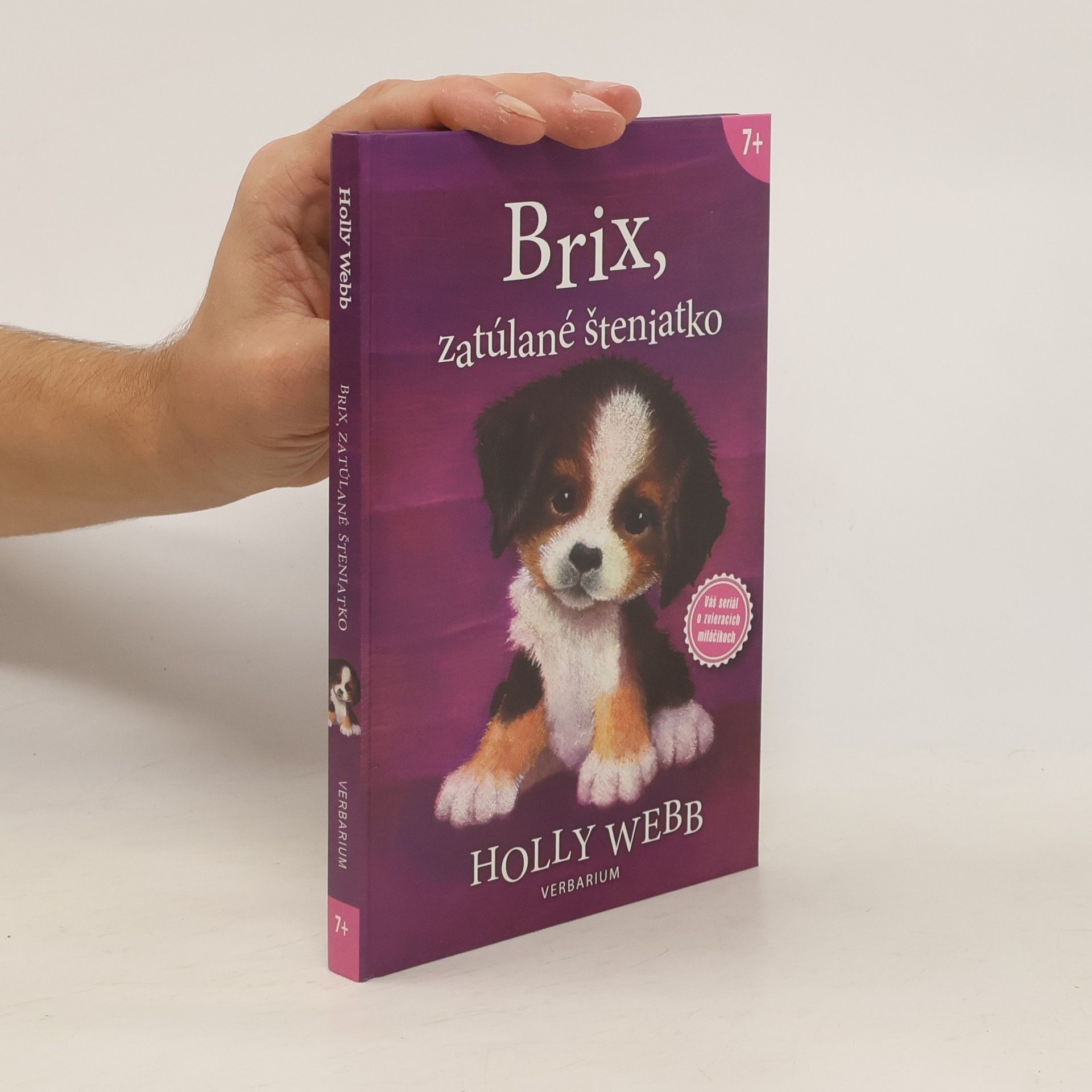 Holly Webb Brix, zatúlané šteniatko