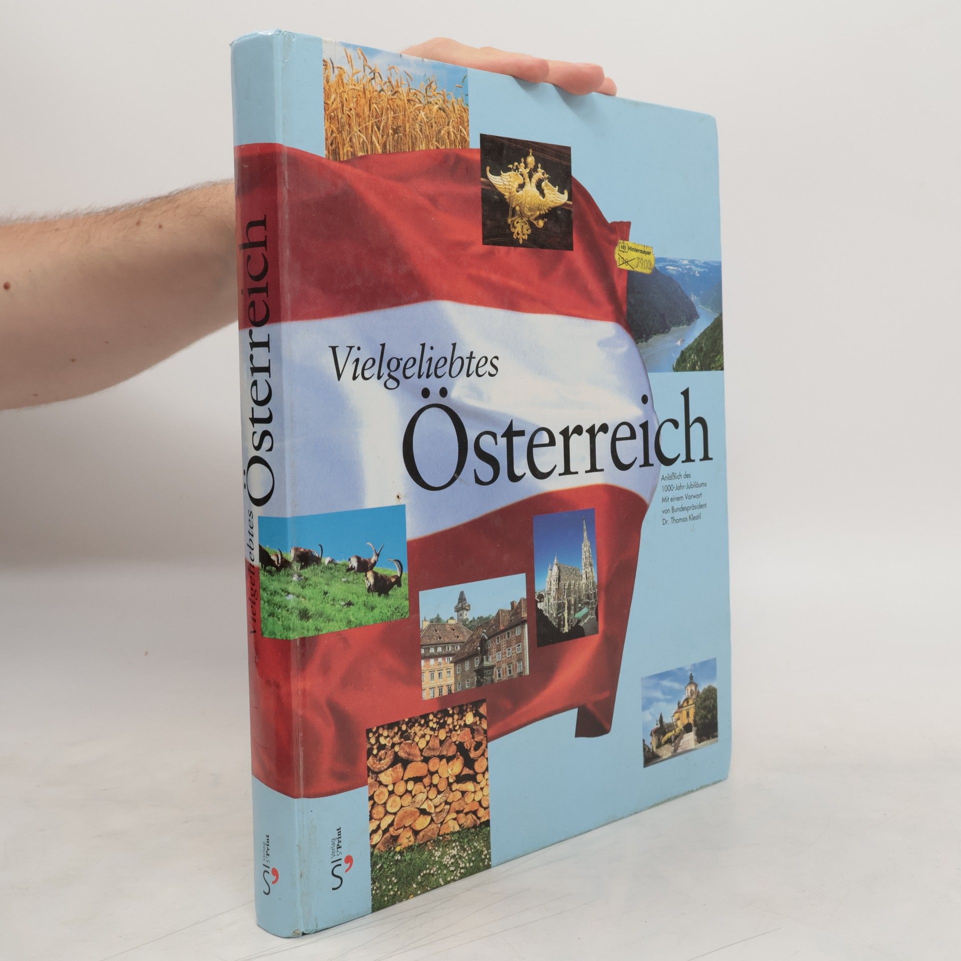 Stefan Sares Vielgeliebtes Österreich