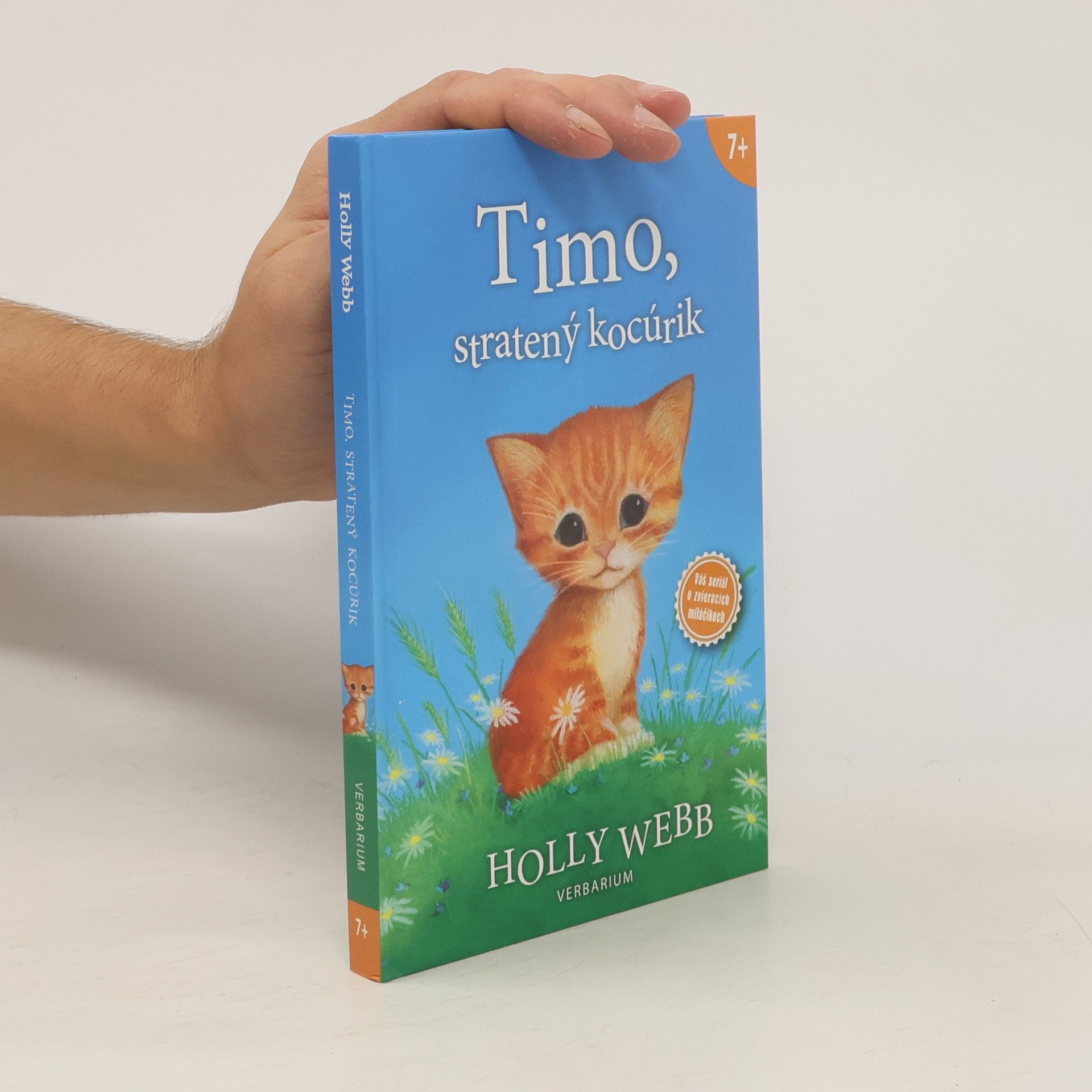 Holly Webb Timo, stratený kocúrik