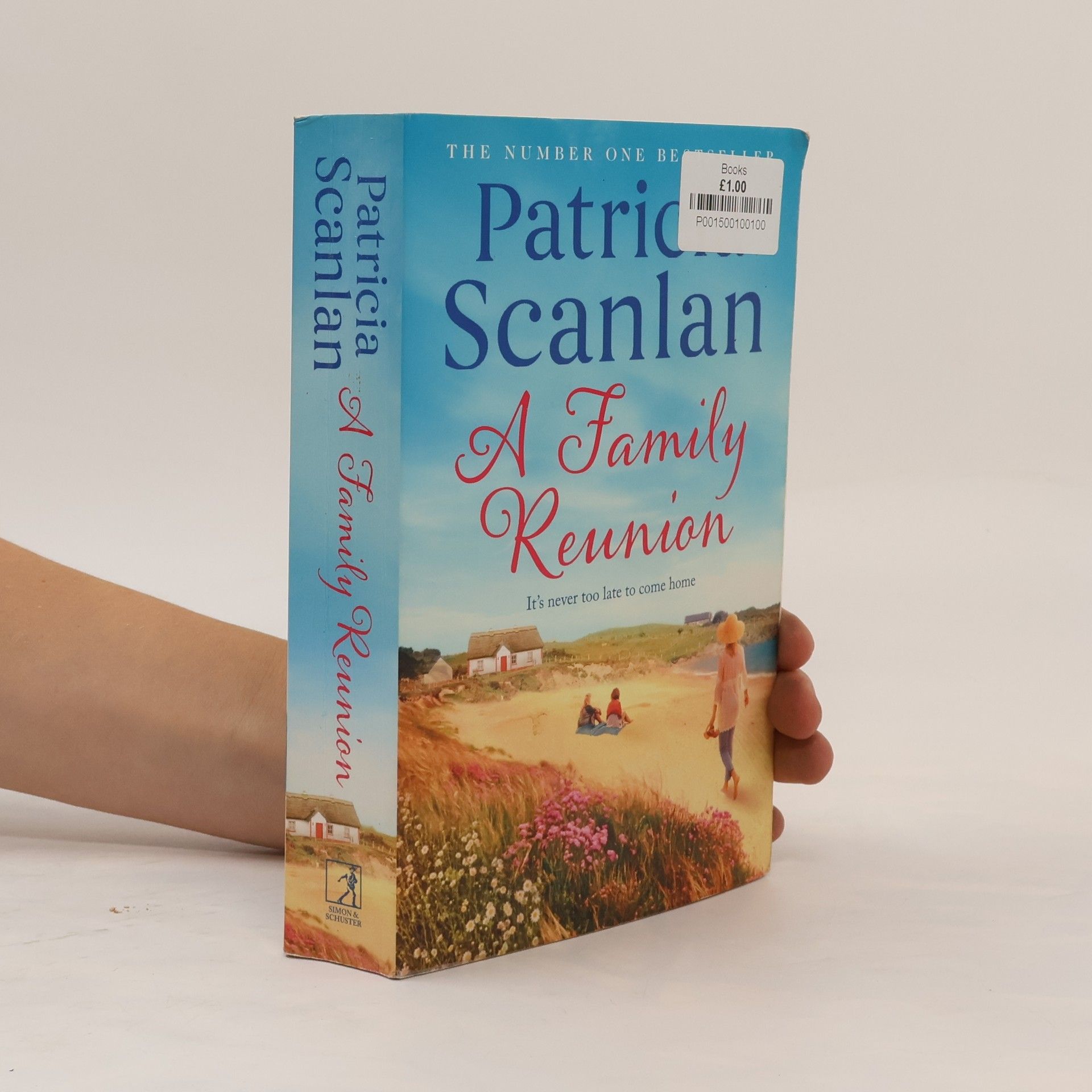 Patricia Scanlan A Family Reunion