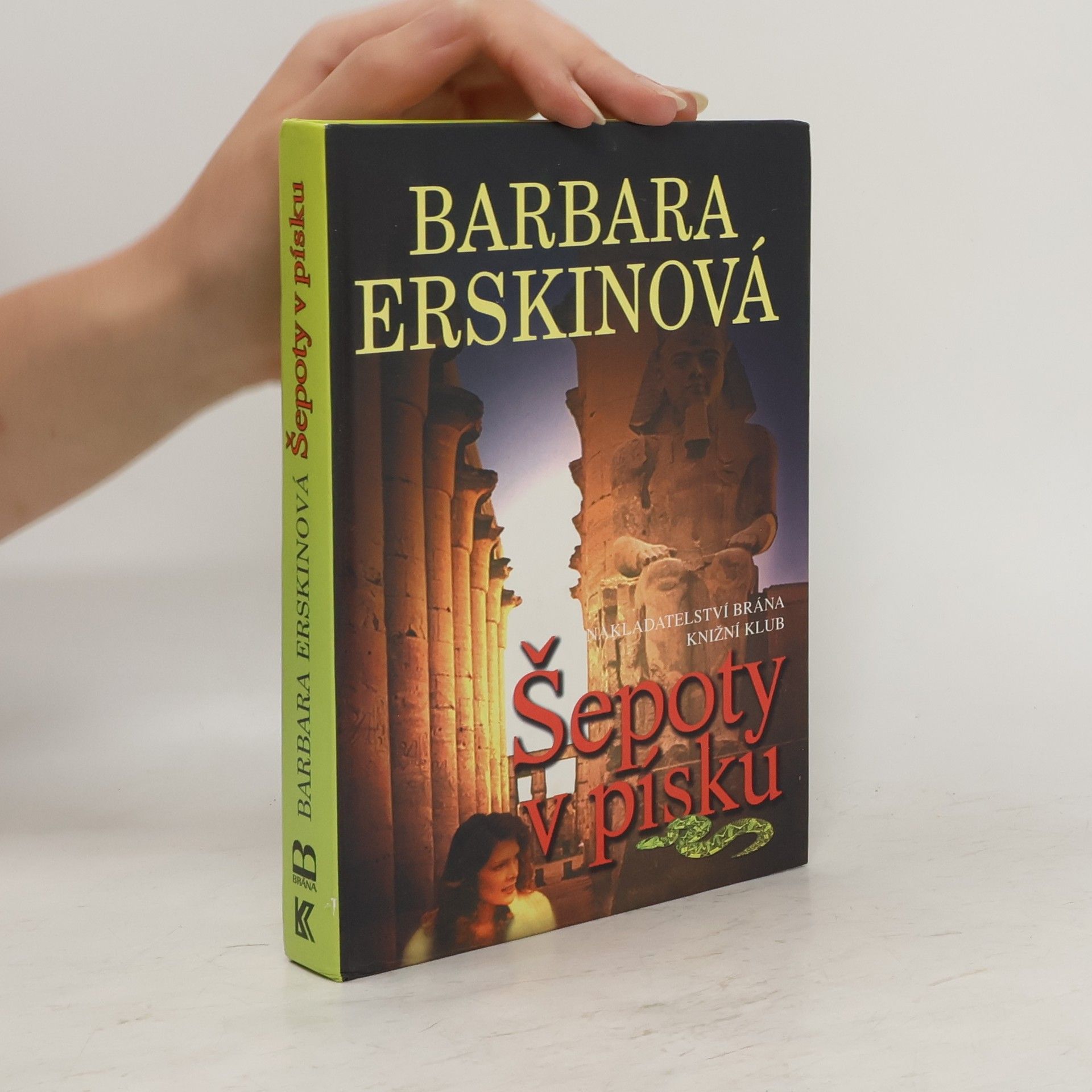 Barbara Erskine Šepoty v písku
