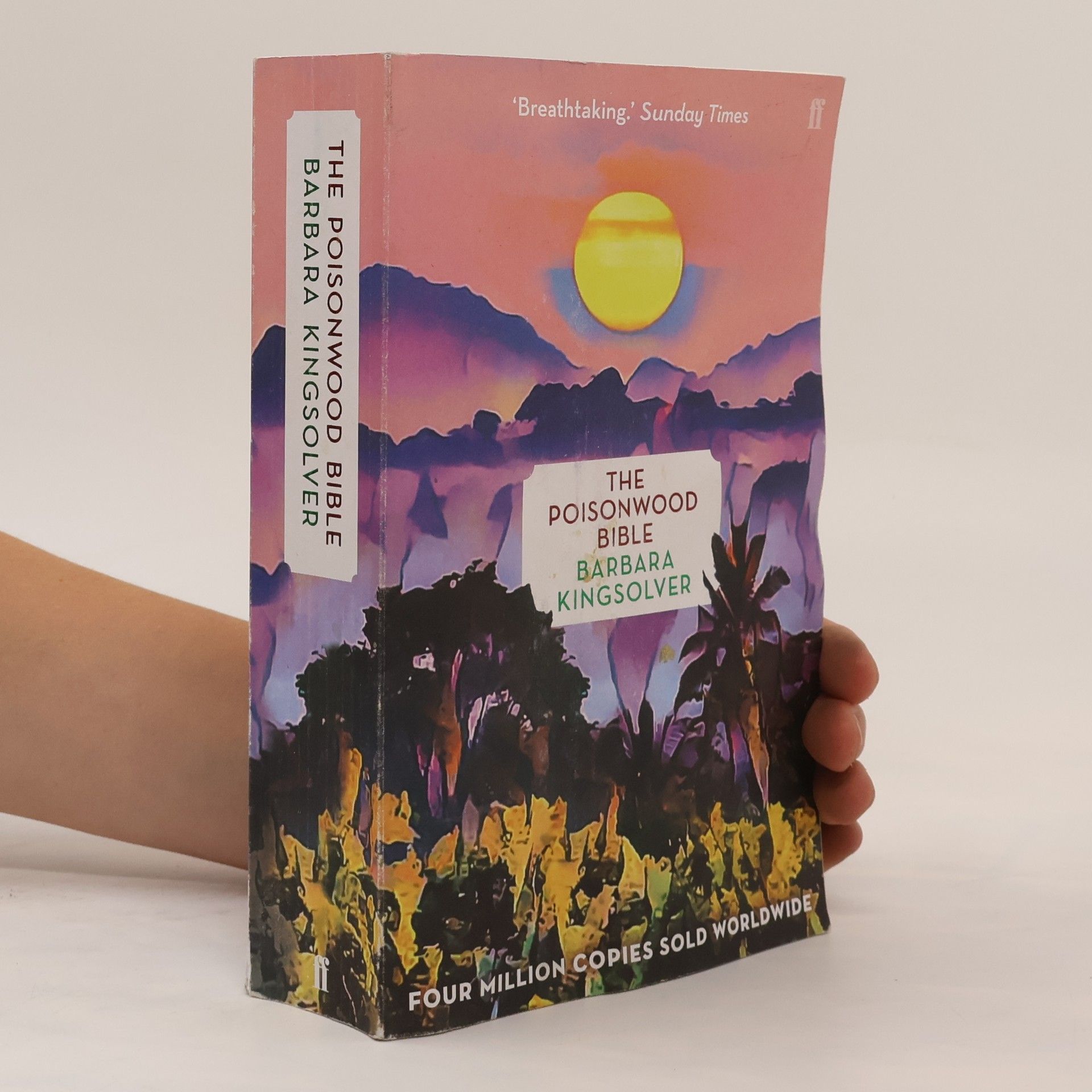 Barbara Kingslover The Poisonwood Bible