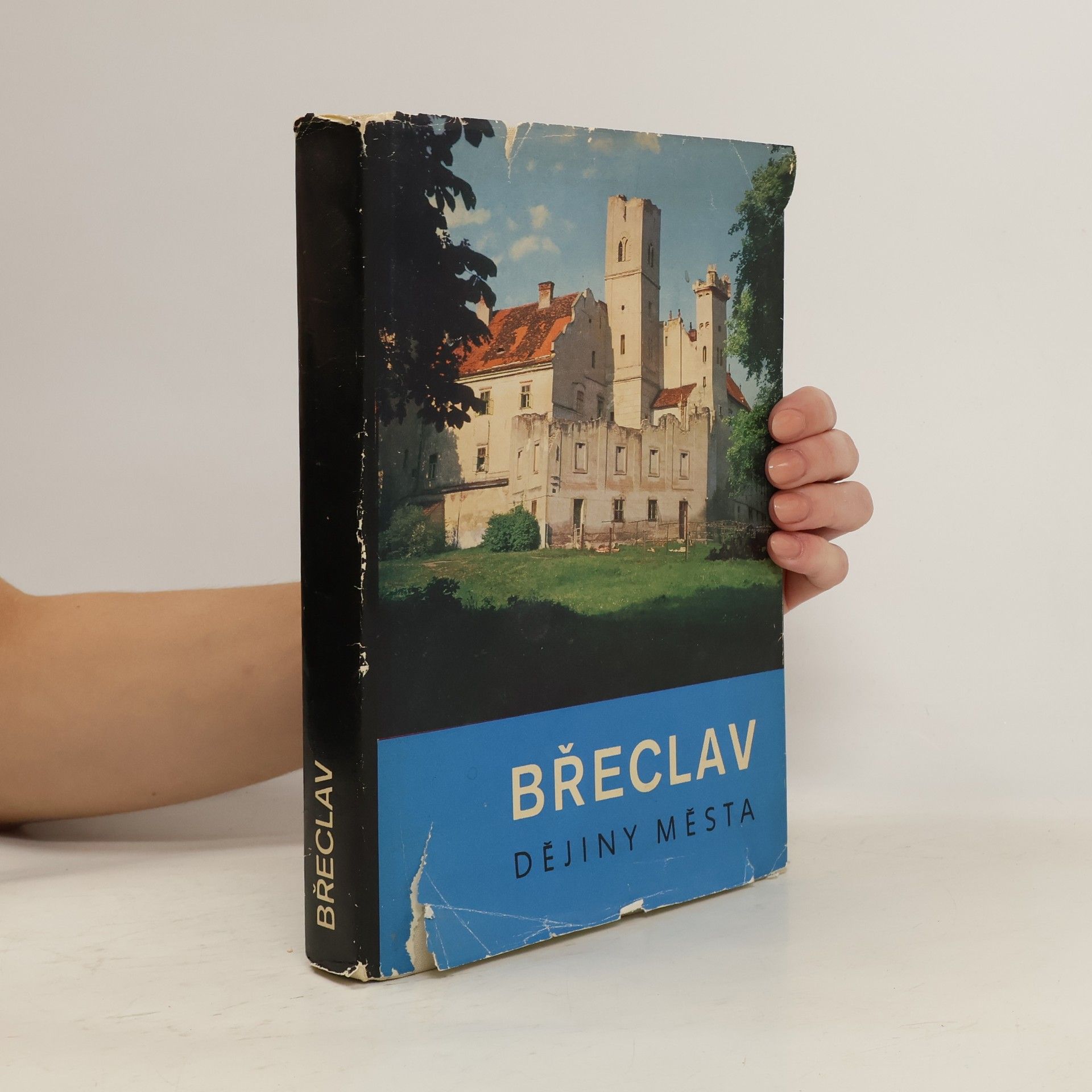 Collectif d'auteurs Břeclav: dějiny města