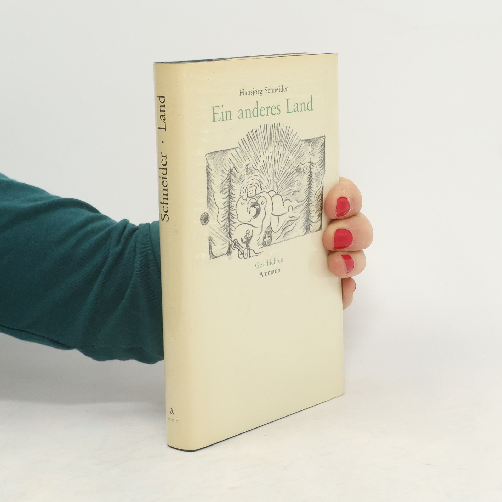 Hansjörg Schneider Ein anderes Land