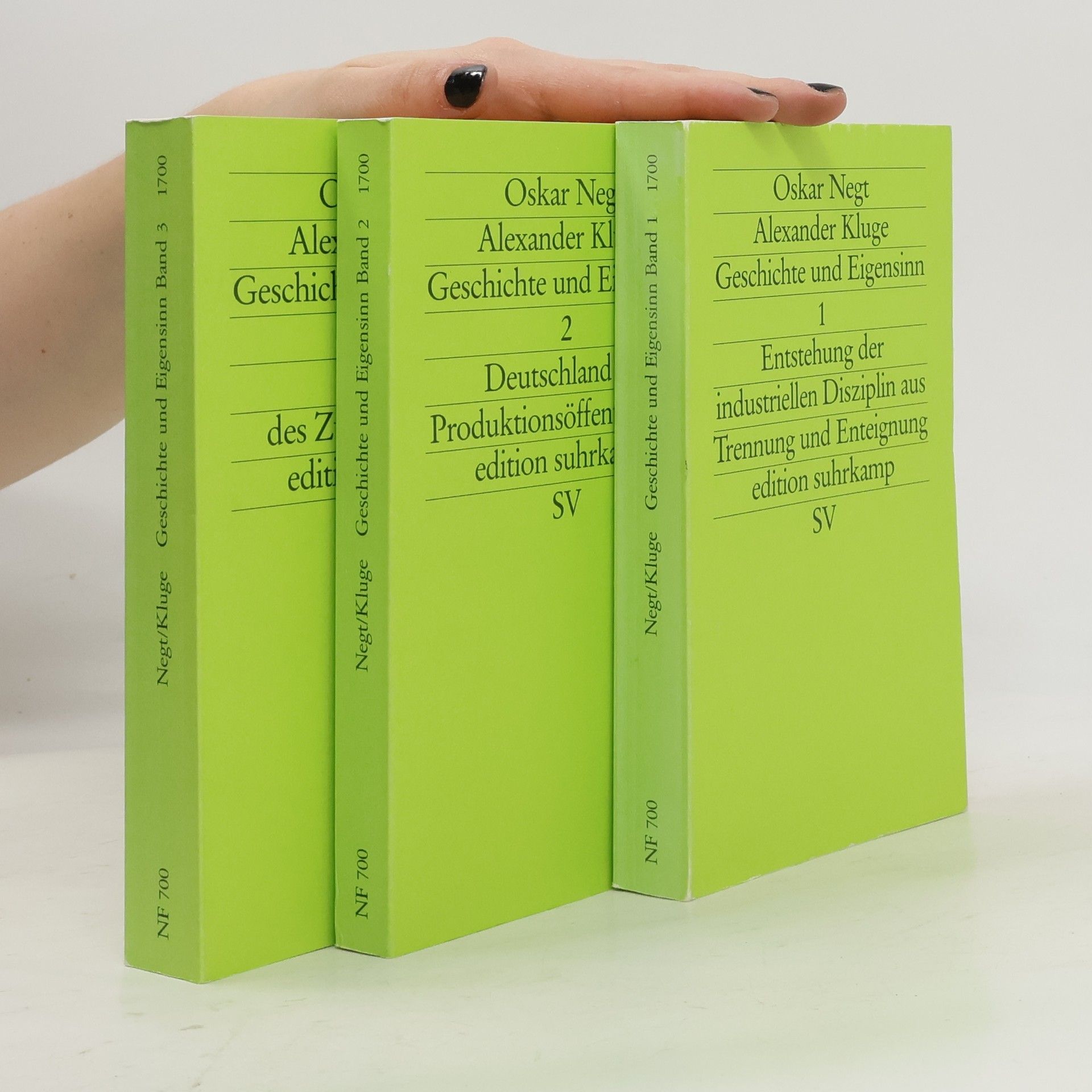Oskar Negt Geschichte und Eigensinn 1-3