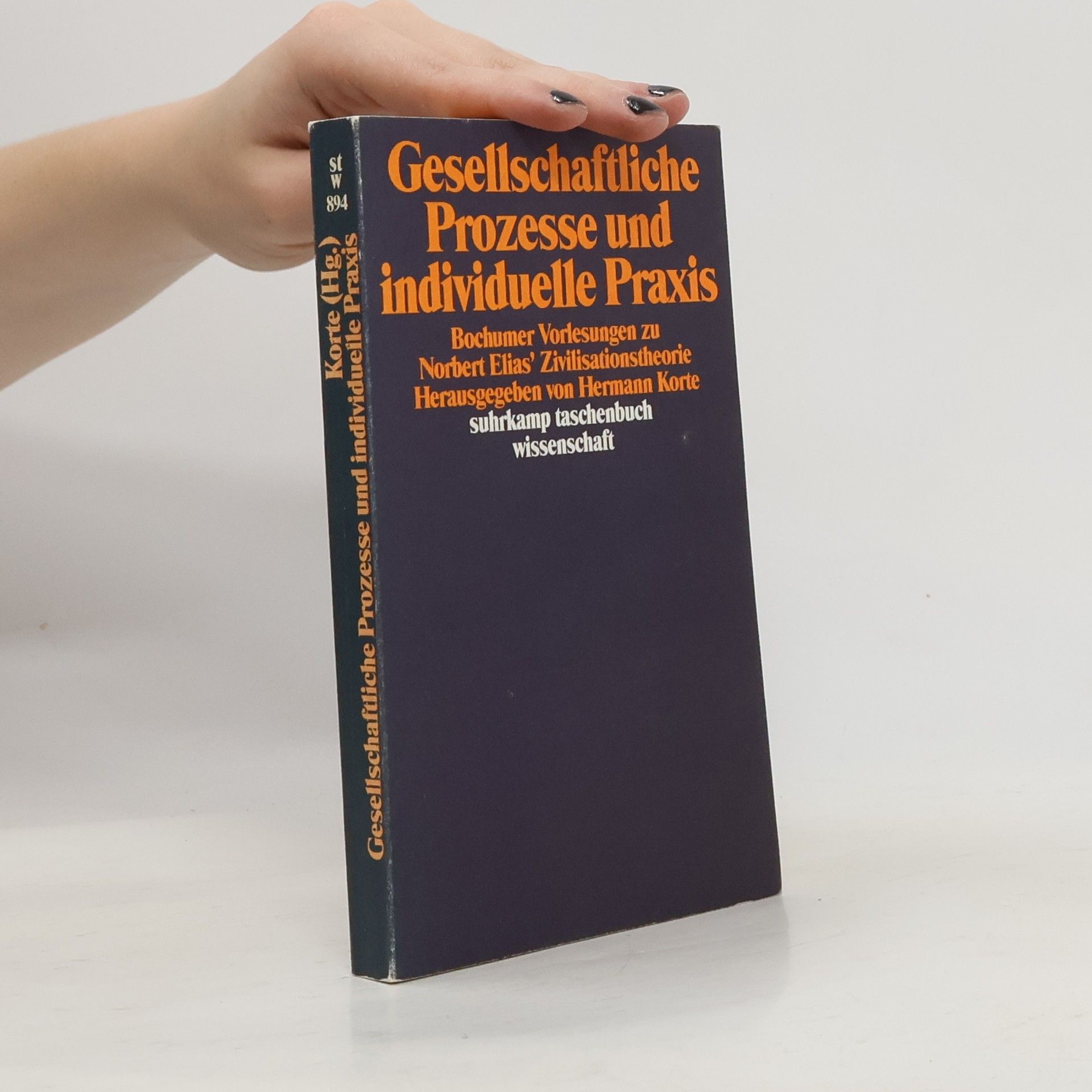 Hermann Korte Gesellschaftliche Prozesse und individuelle Praxis