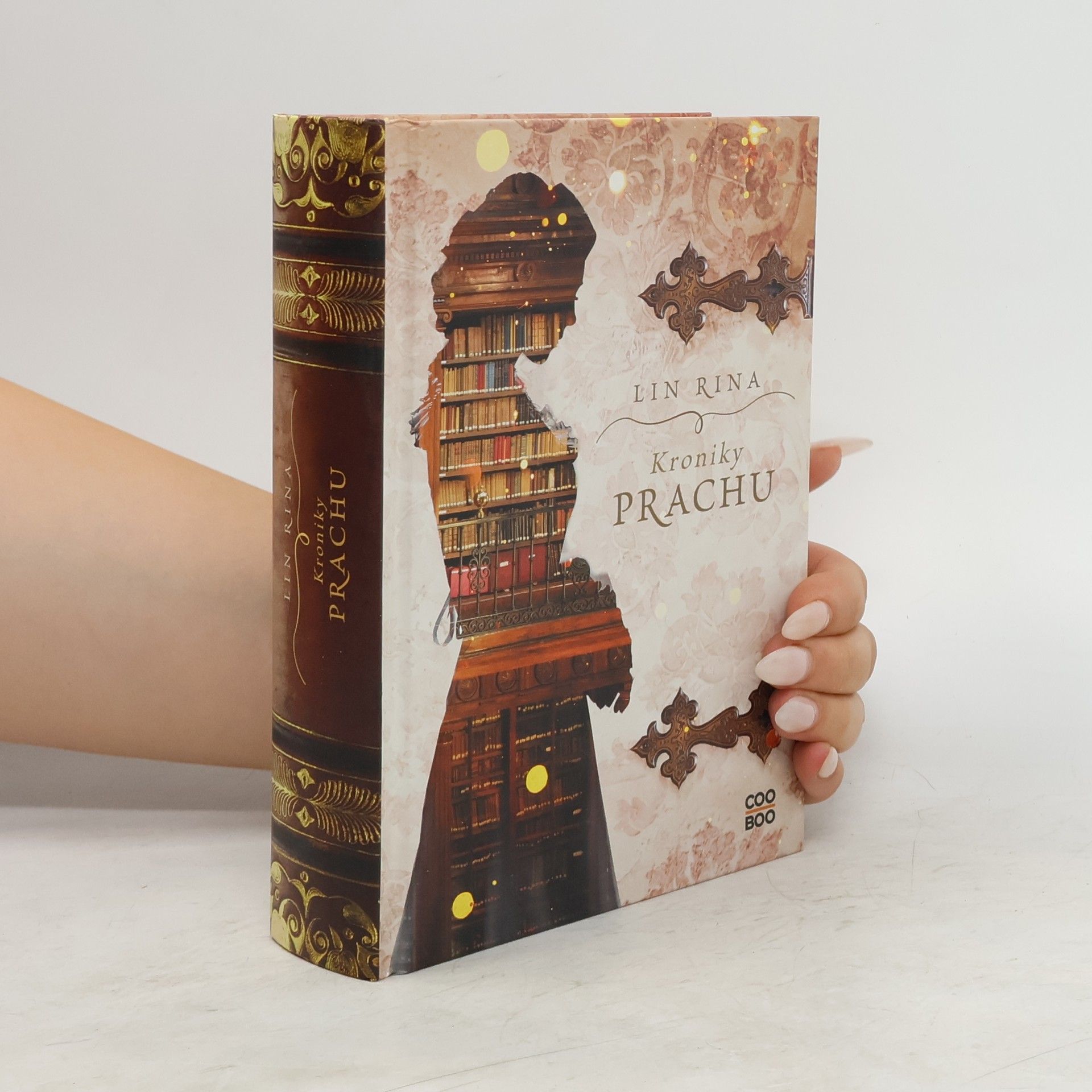 Lin Rina Kroniky Prachu