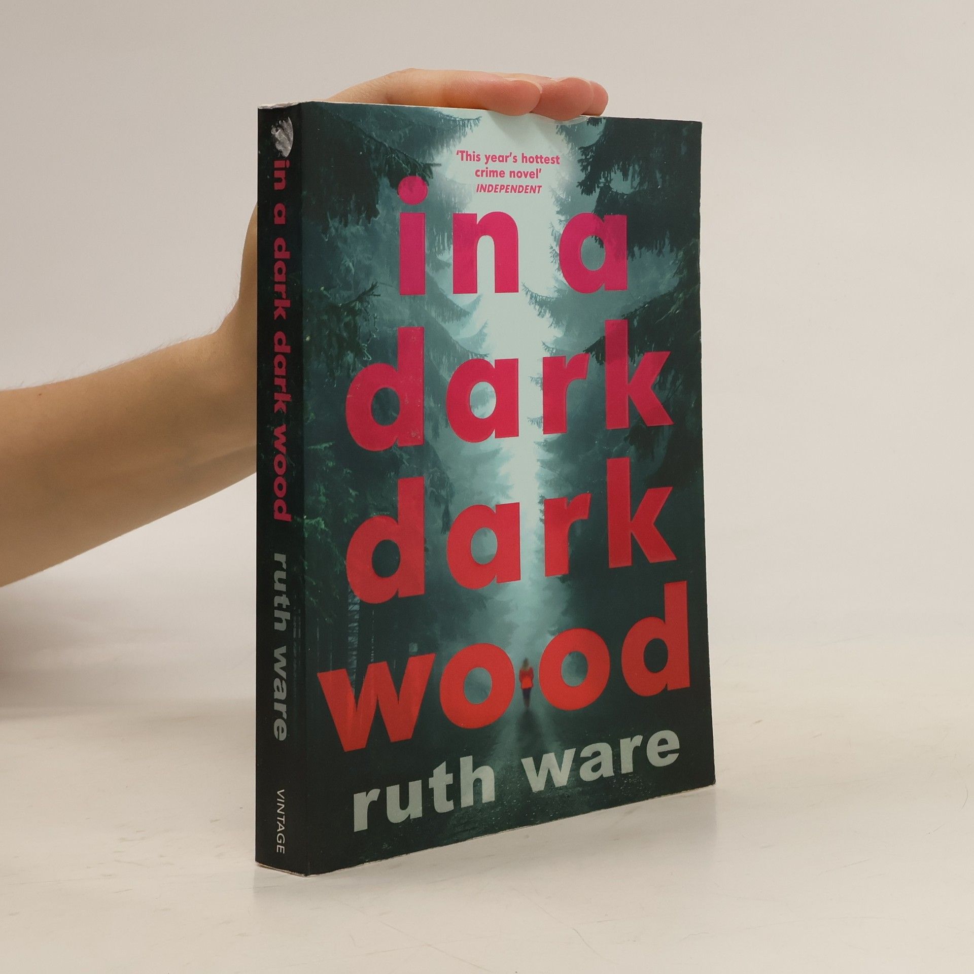 Ruth Ware In a dark, dark wood