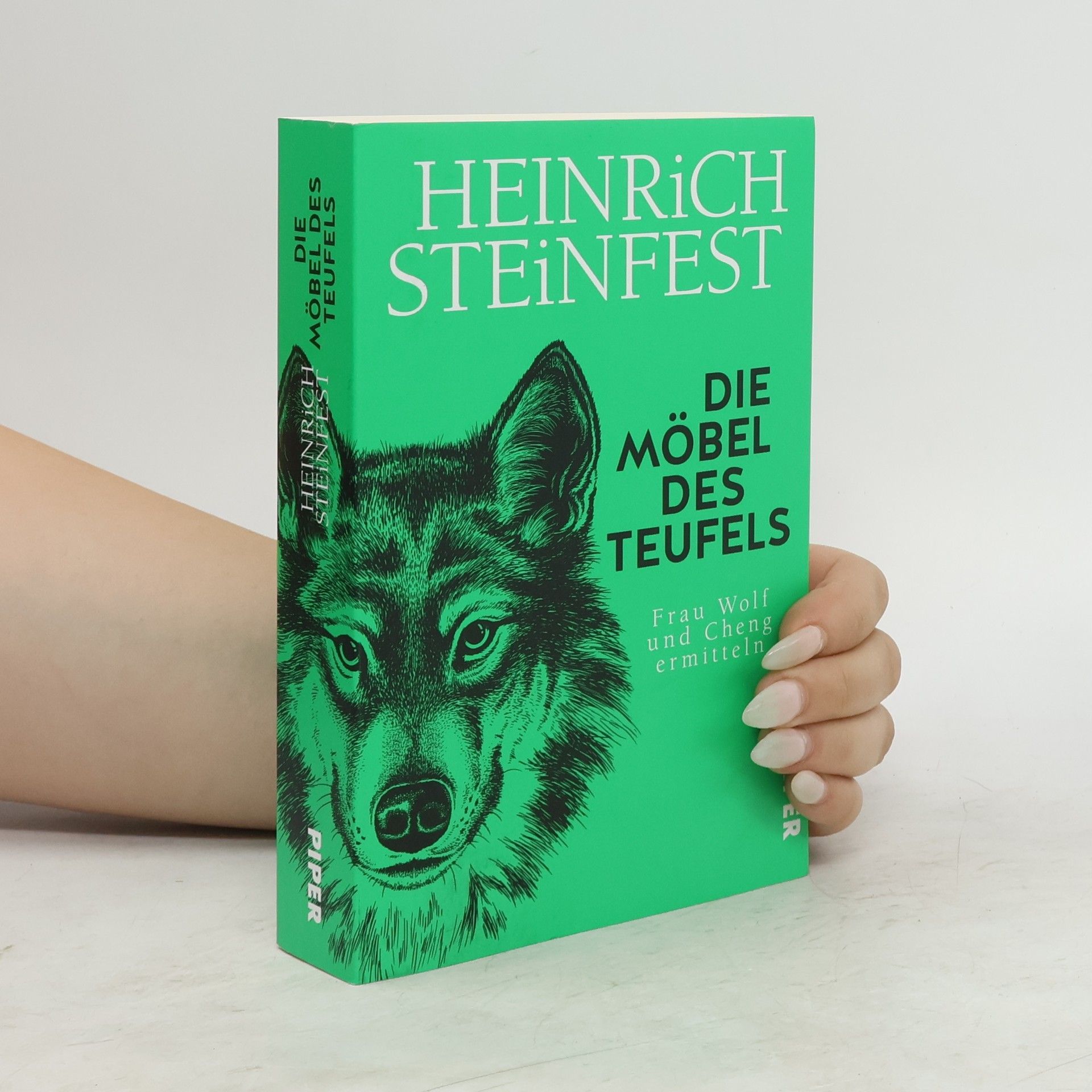 Heinrich Steinfest Die Möbel des Teufels