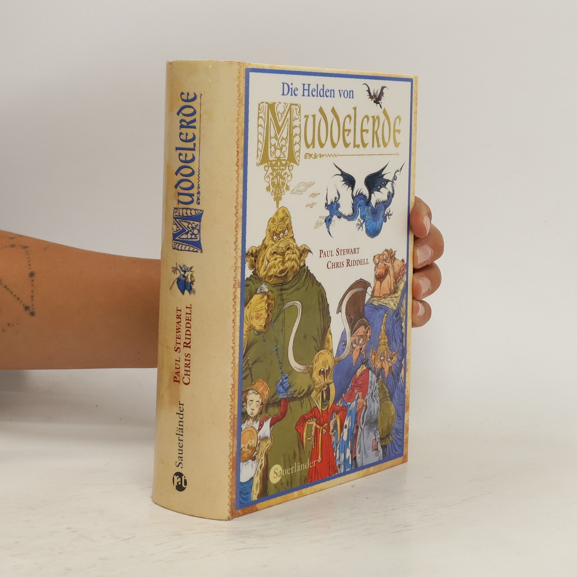 Chris Riddell Die Helden von Muddelerde