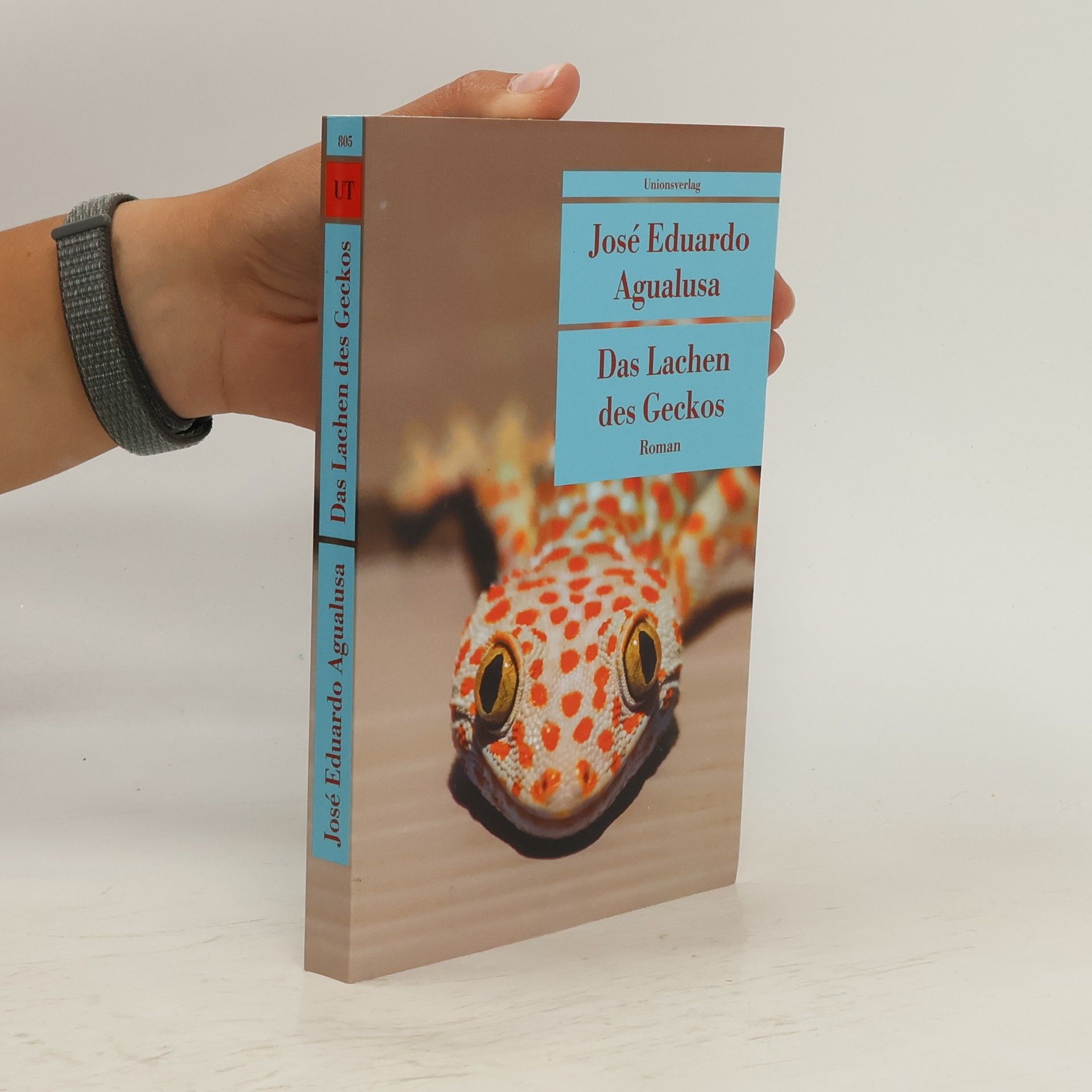 José Eduardo Agualusa Das Lachen des Geckos