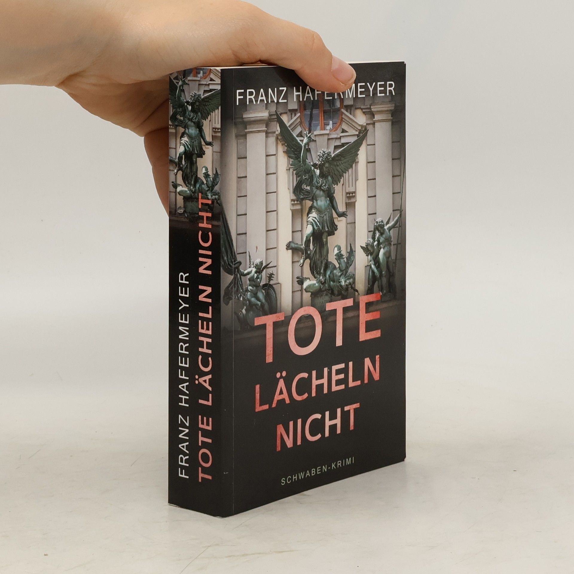 Franz Hafermeyer Tote lächeln nicht