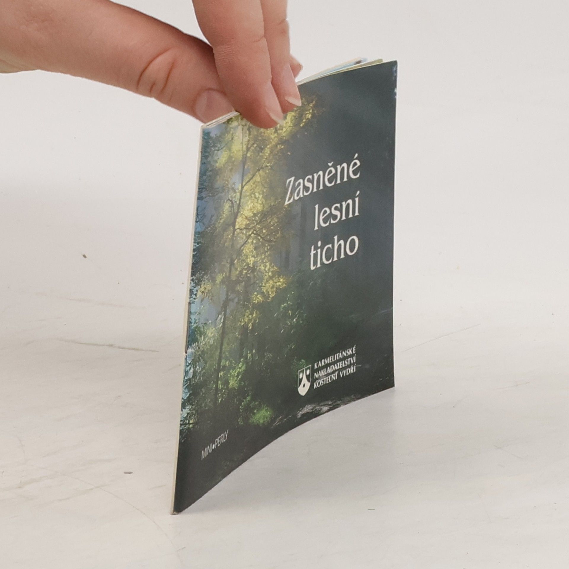 Collectif d'auteurs Zasněné lesní ticho