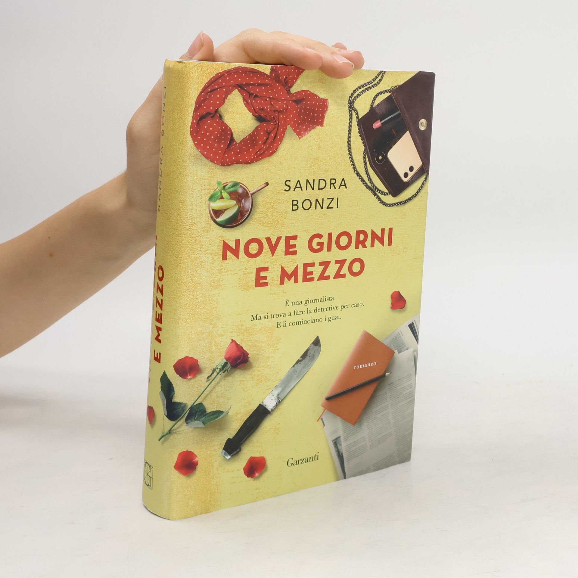 Sandra Bonzi Nove giorni e mezzo