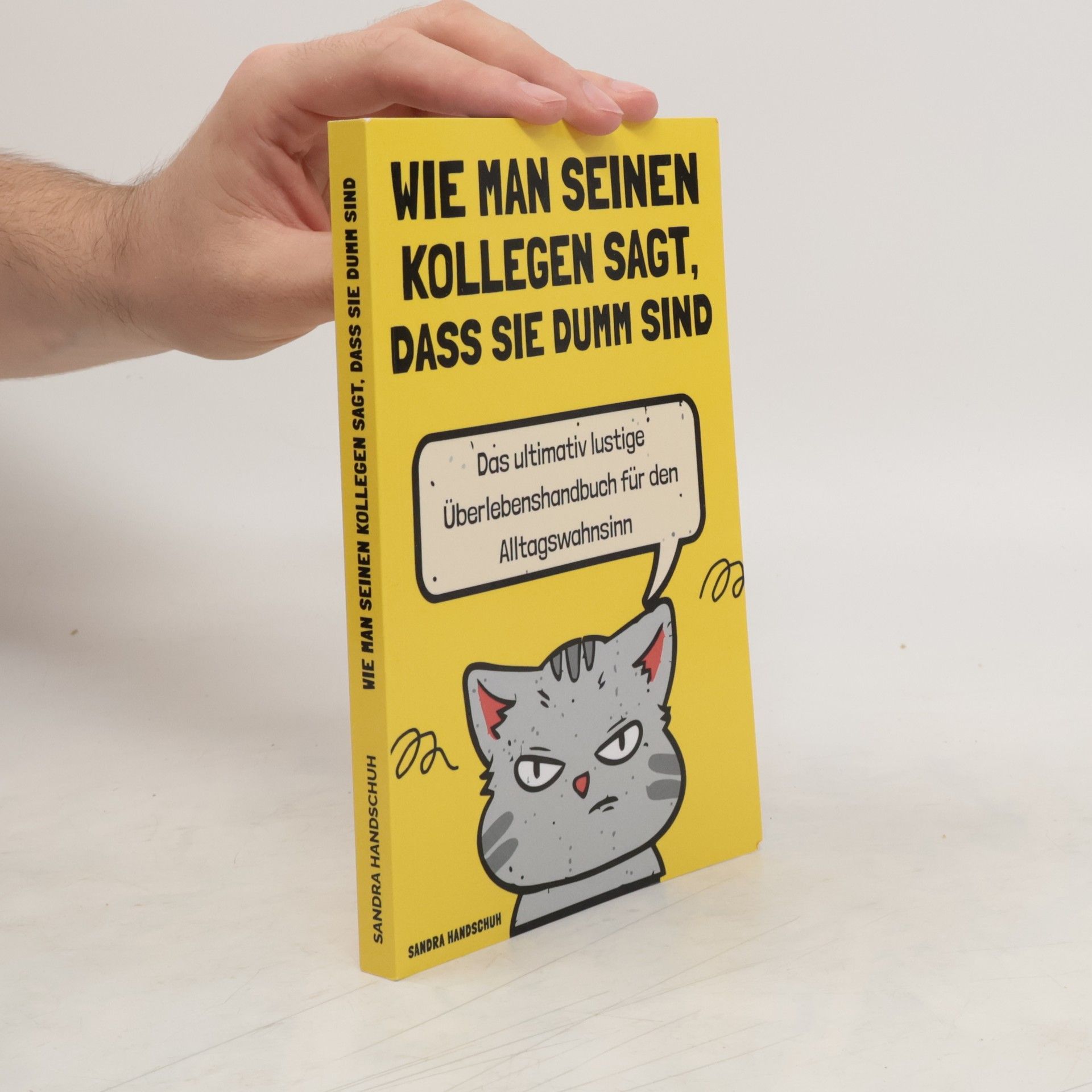 Sandra Handschuh Wie man seinen Kollegen sagt, dass sie dumm sind. Das ultimativ lustige Überlebenshandbuch für den Alltagswahnsinn