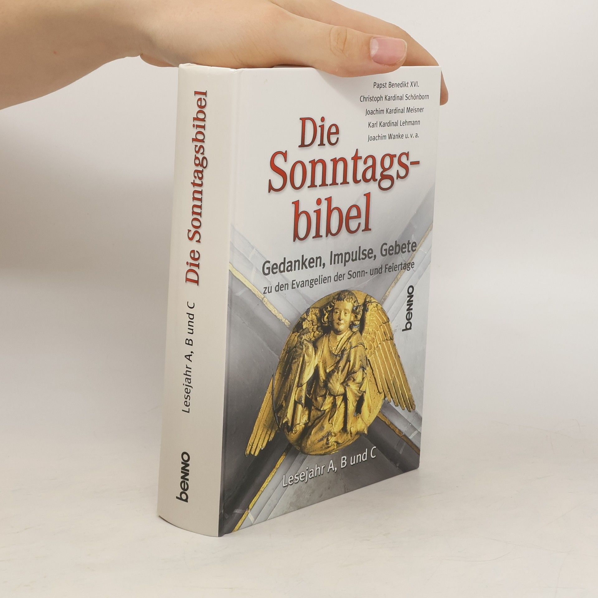 Kristina Liebermeister Die Sonntagsbibel