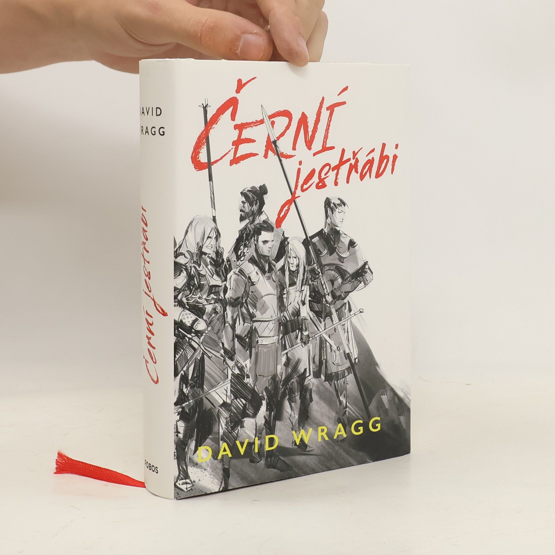 David Wragg Černí jestřábi