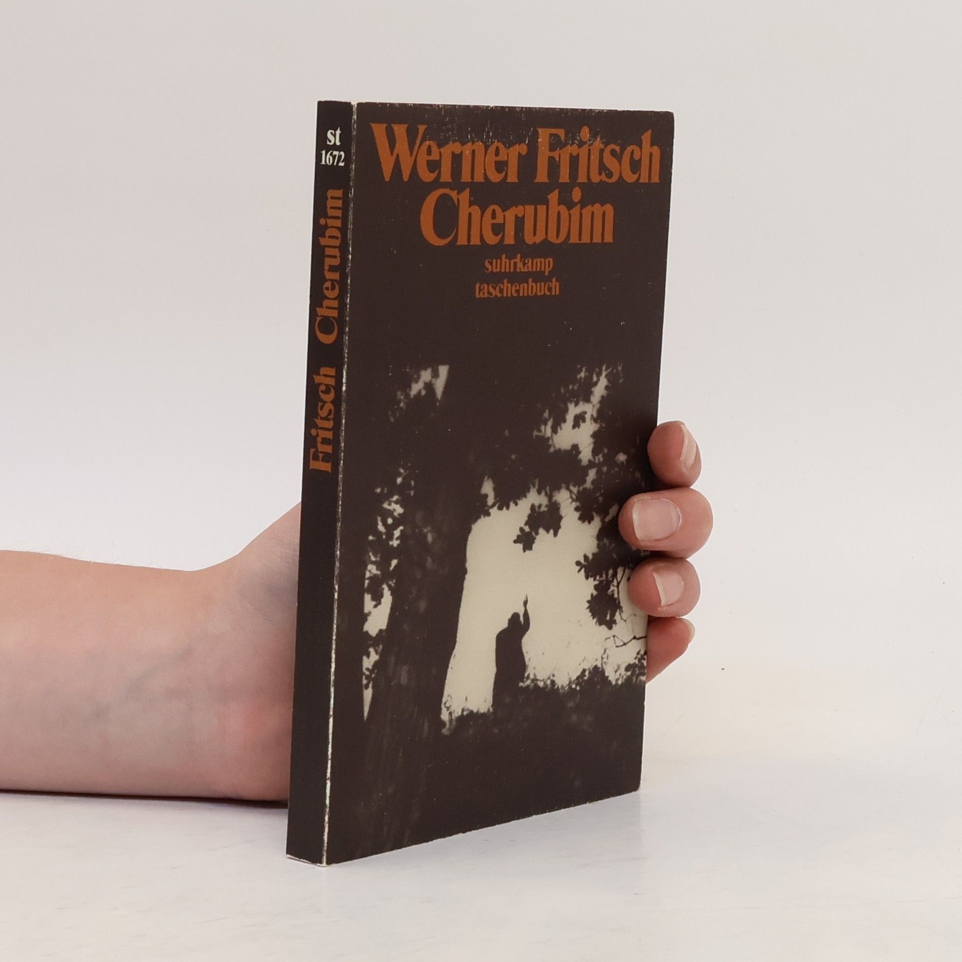 Werner Fritsch Cherubim