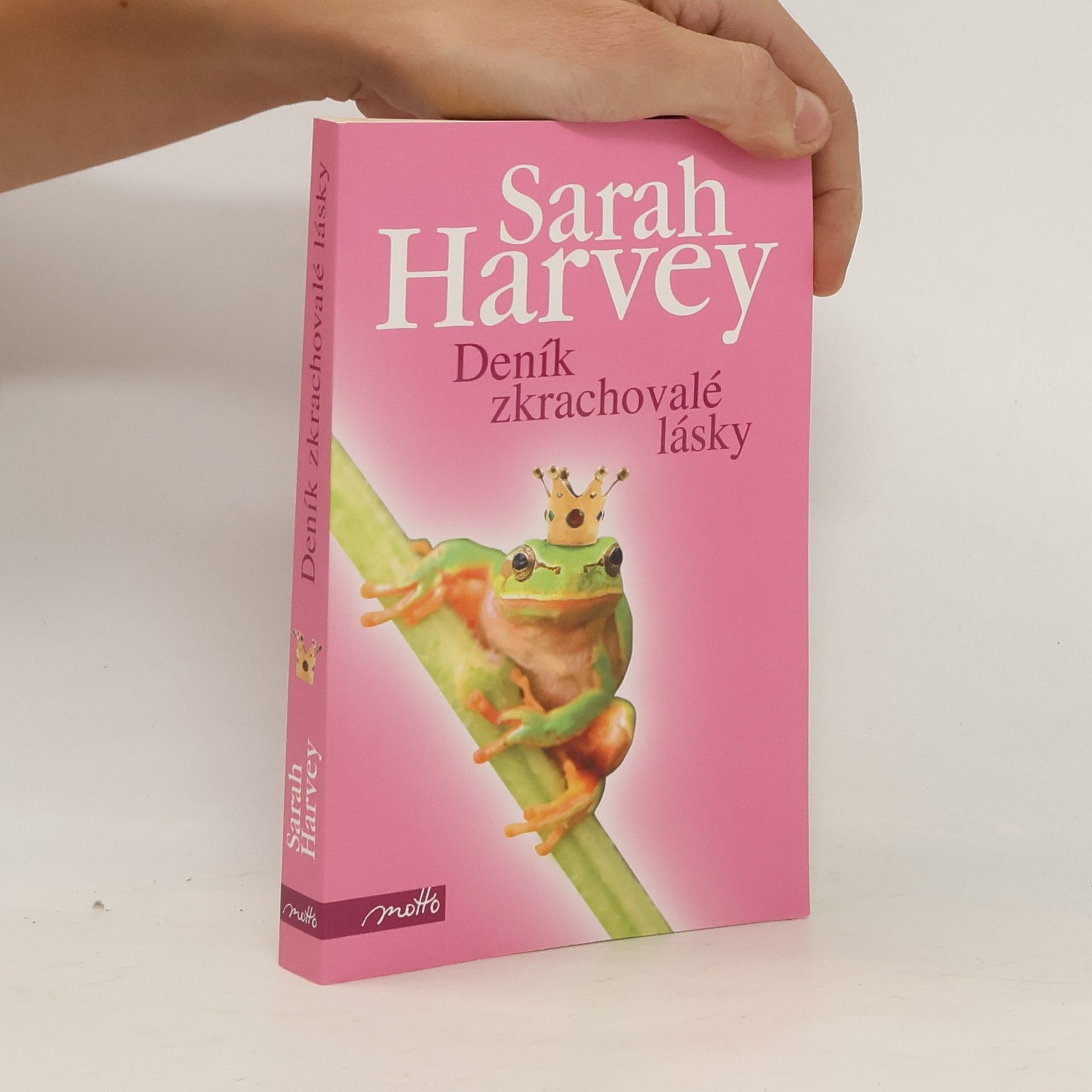 Sarah Harvey Deník zkrachovalé lásky