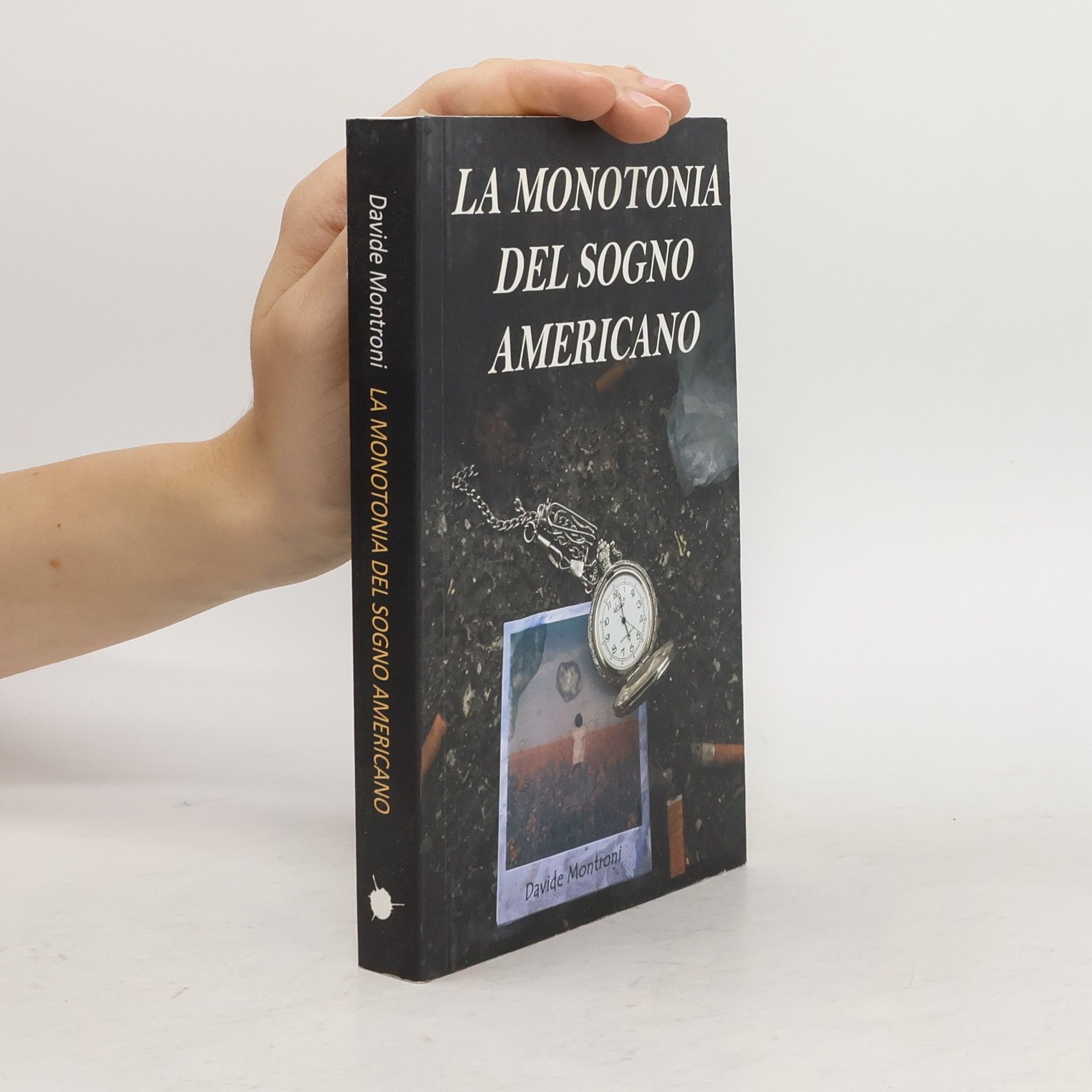 Davide Montroni La monotonia del sogno americano