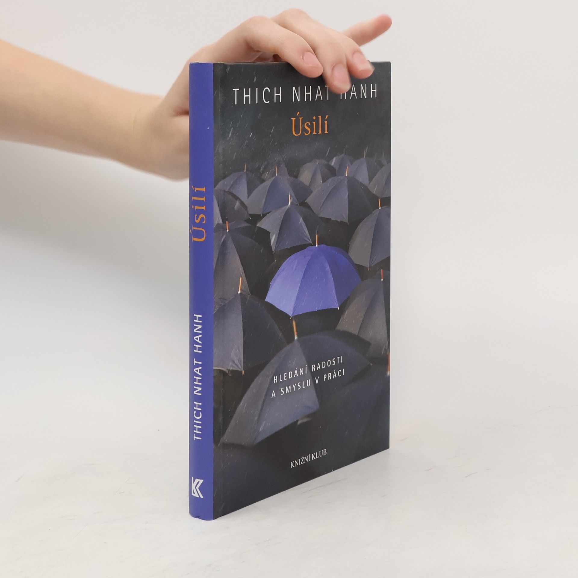 Hạnh Nhat Úsilí. Hledání radosti a smyslu v práci