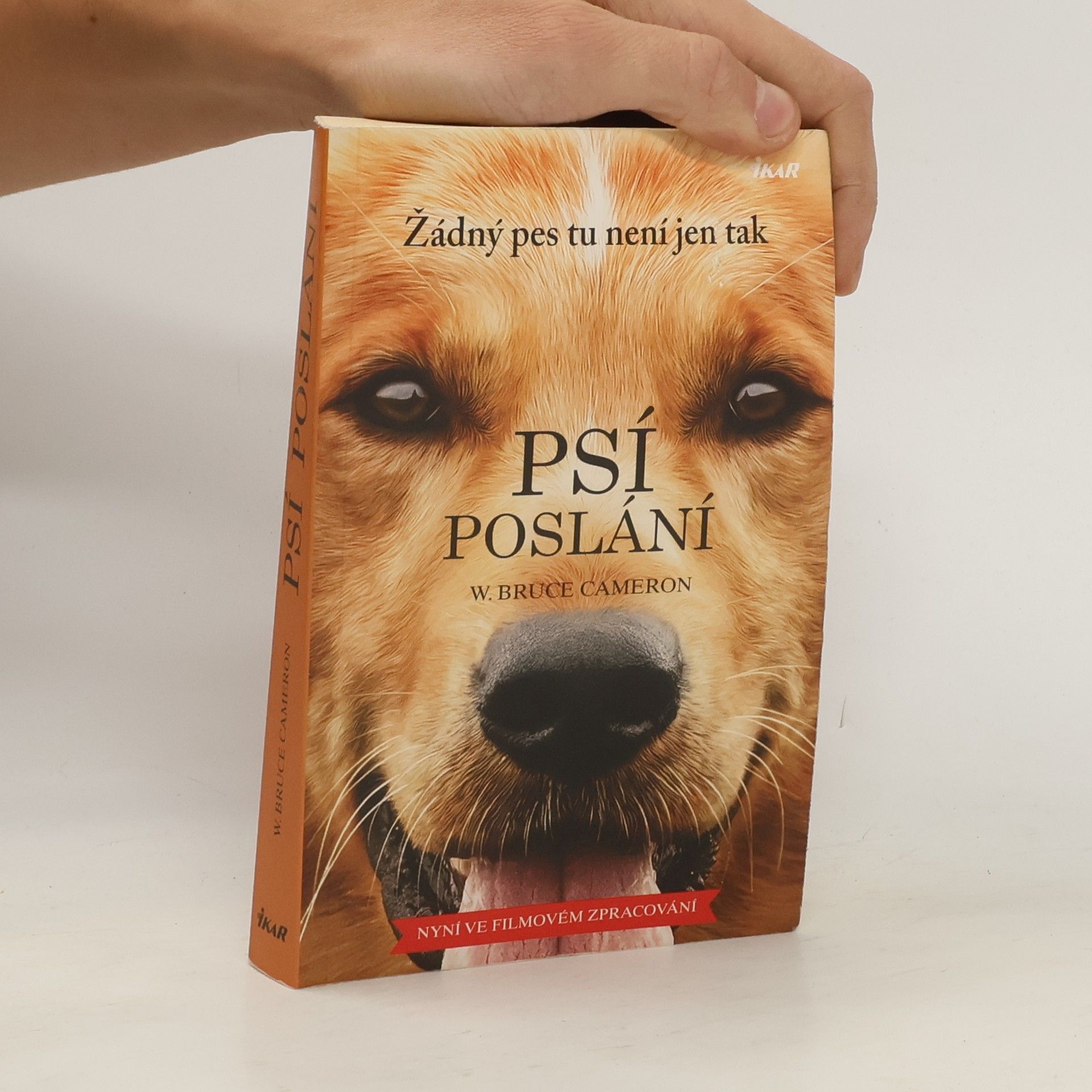 W. Bruce Cameron Psí poslání. Žádný pes tu není jen tak