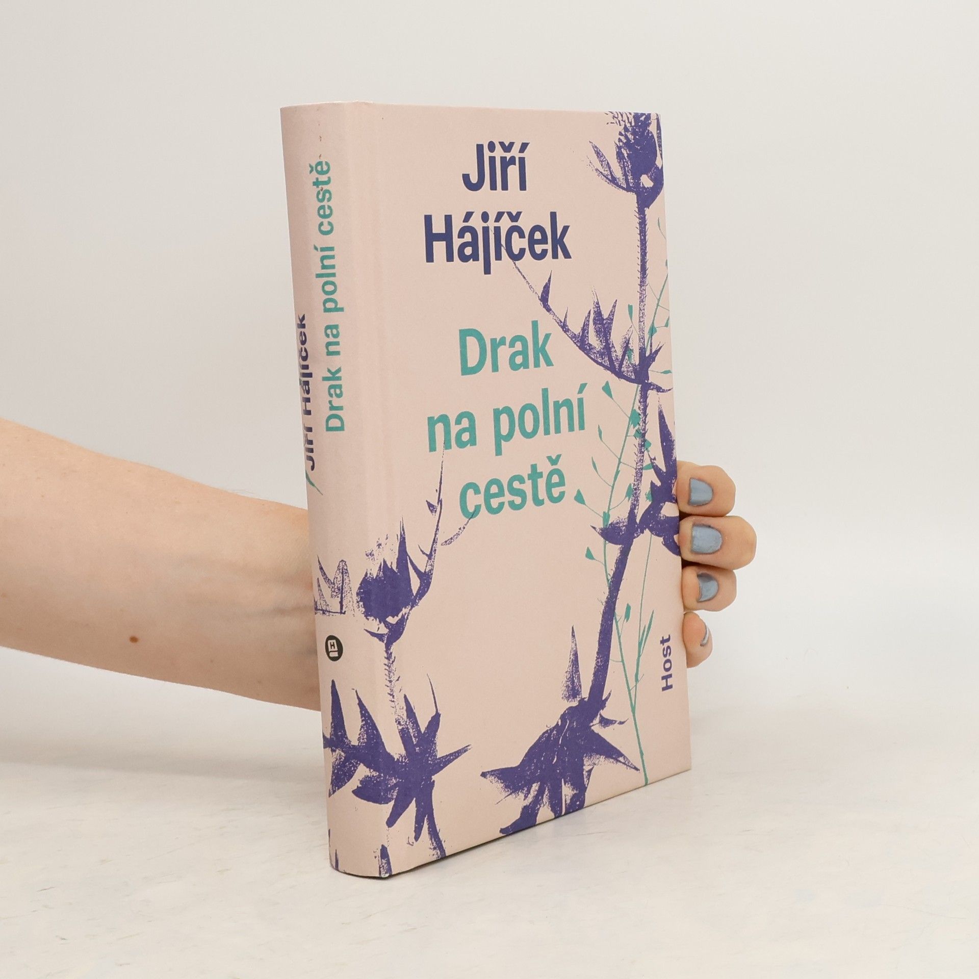 Jiří Hájíček Drak na polní cestě