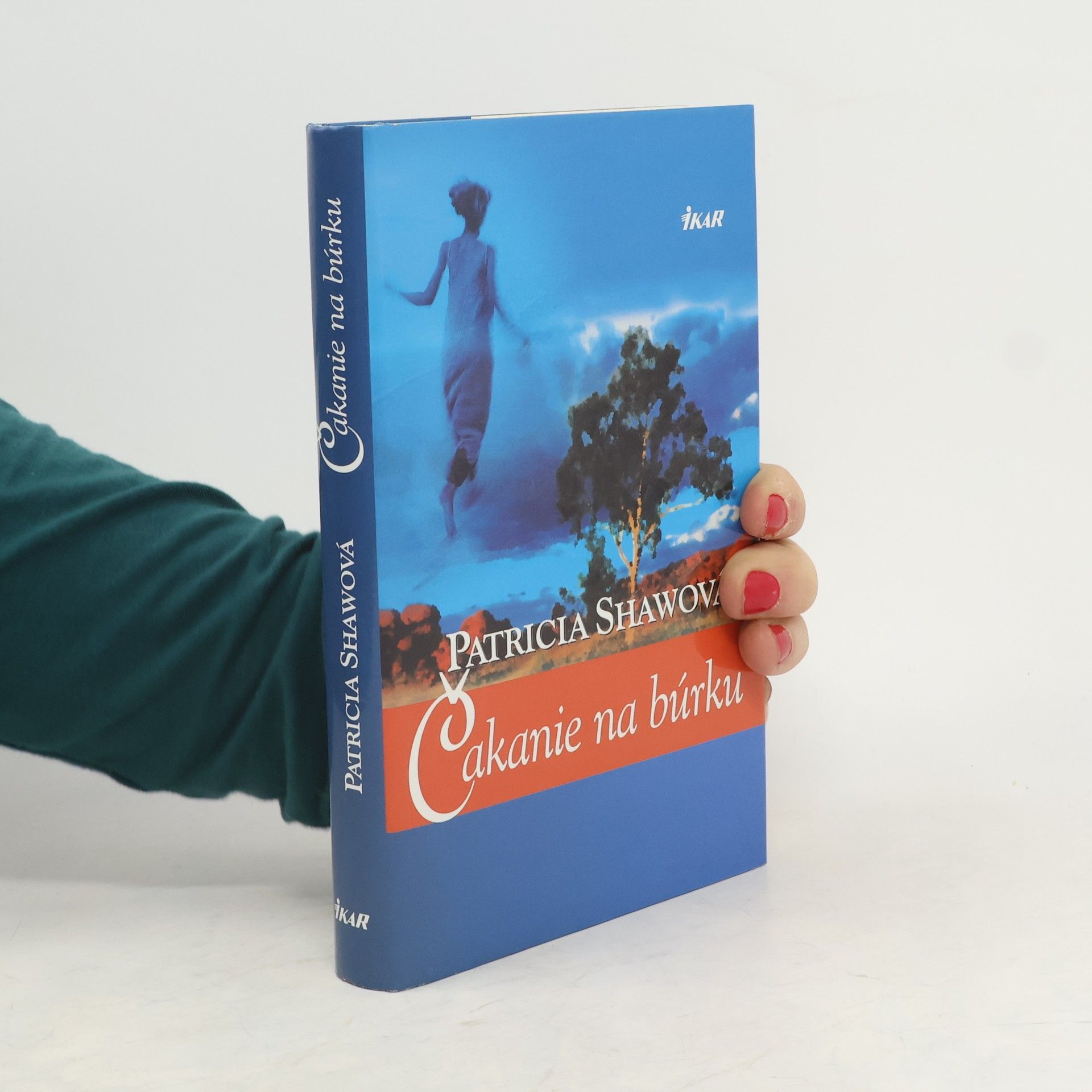 Patricia Shaw Čakanie na búrku