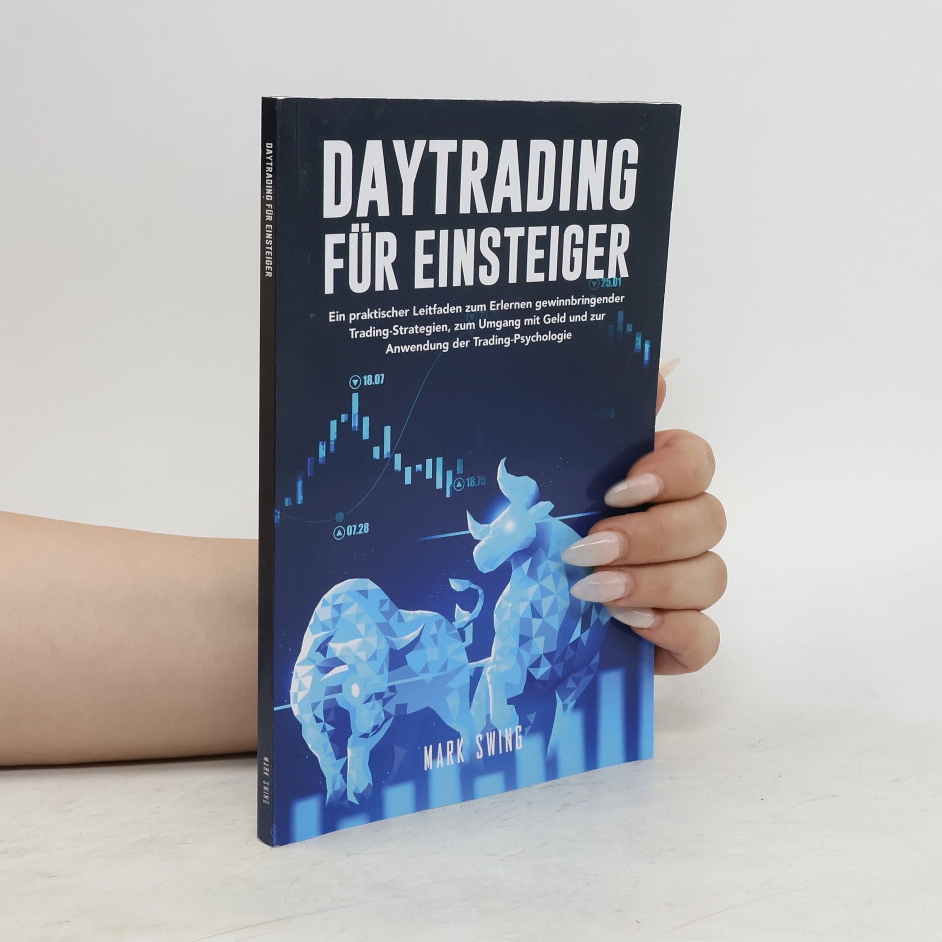 Mark Swing Daytrading Für Einsteiger