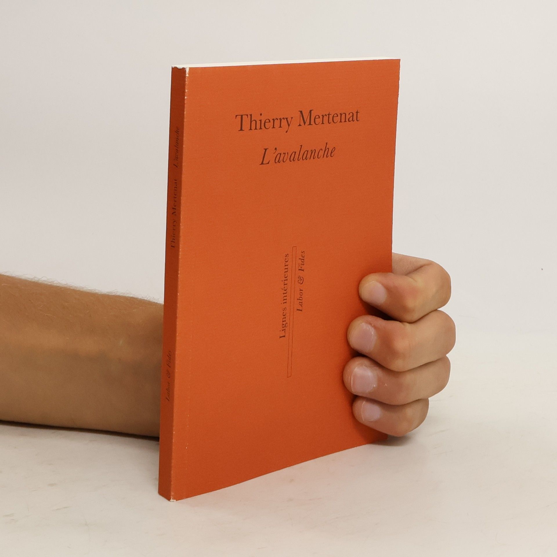 Thierry Mertenat L'avalanche
