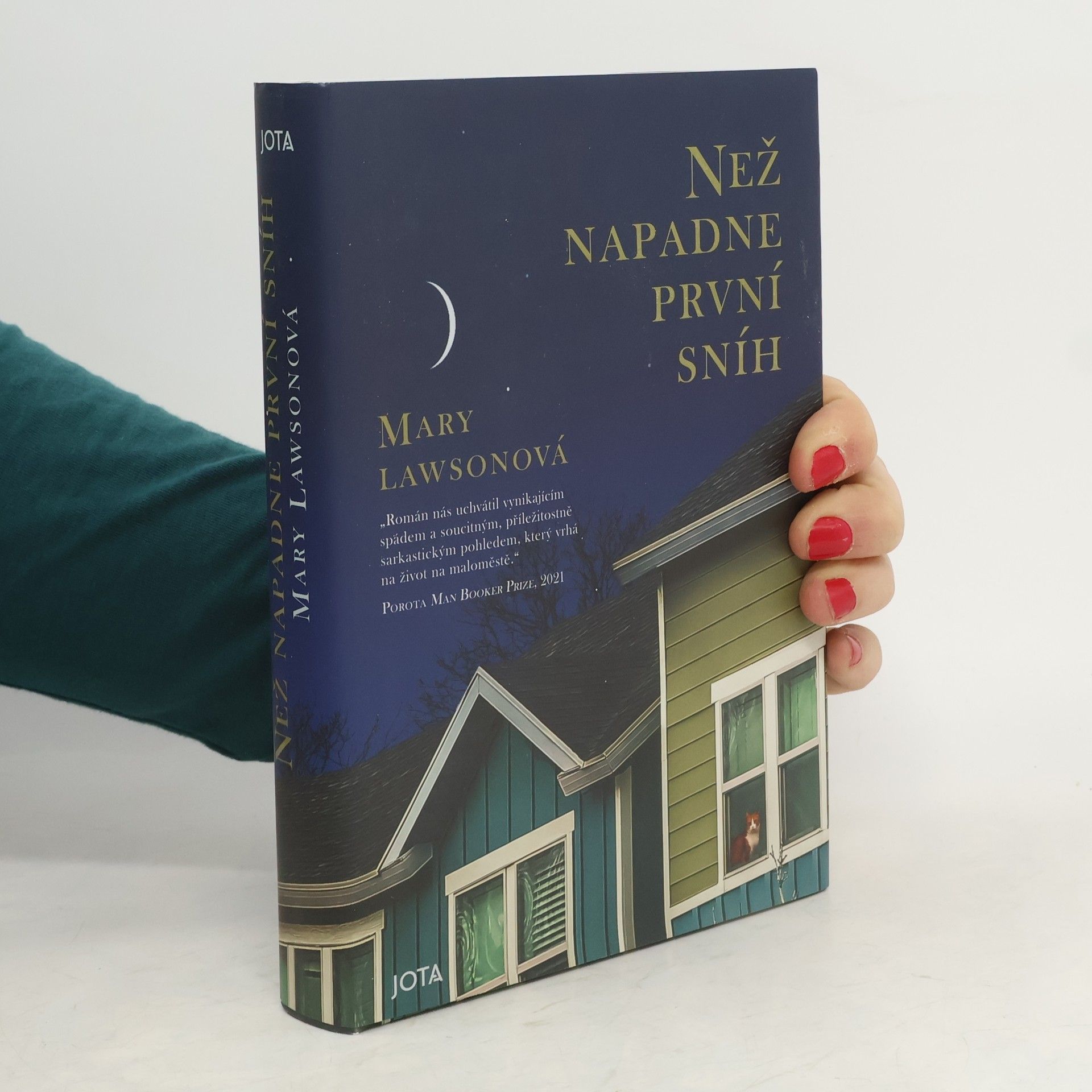 Mary Lawson Než napadne první sníh