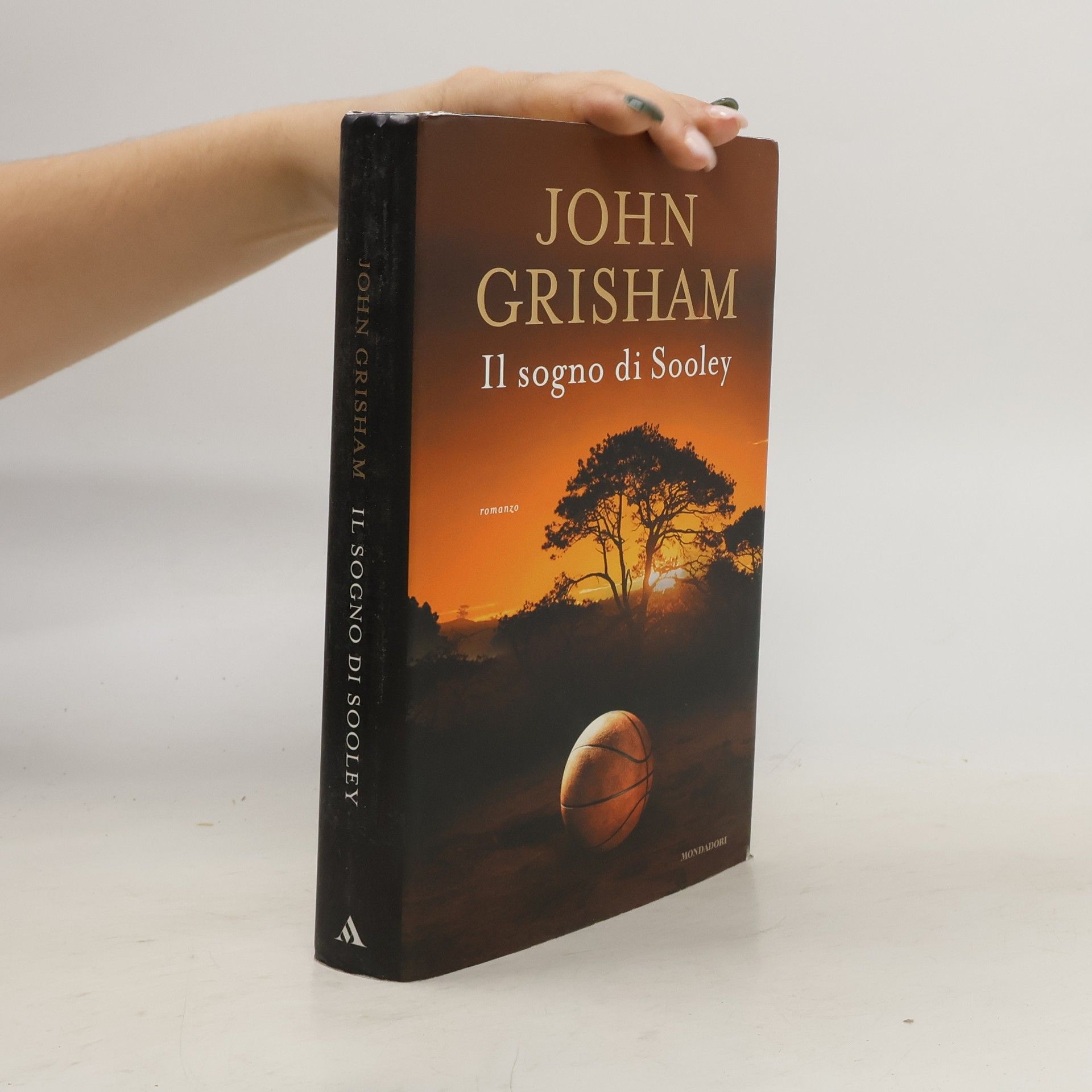 John Grisham Il sogno di Sooley