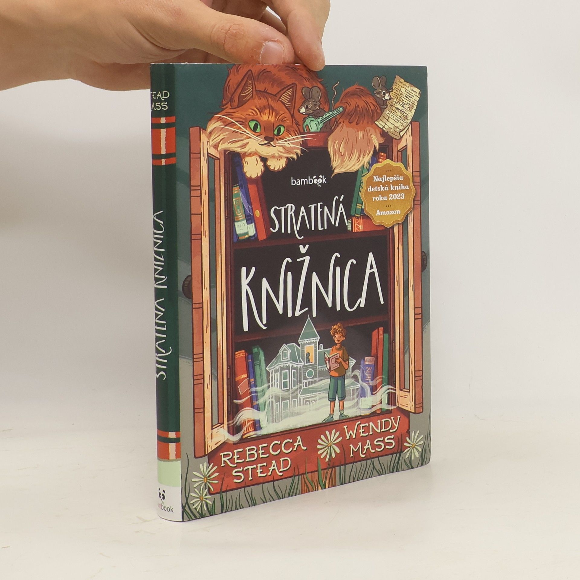 Rebecca Stead Stratená knižnica