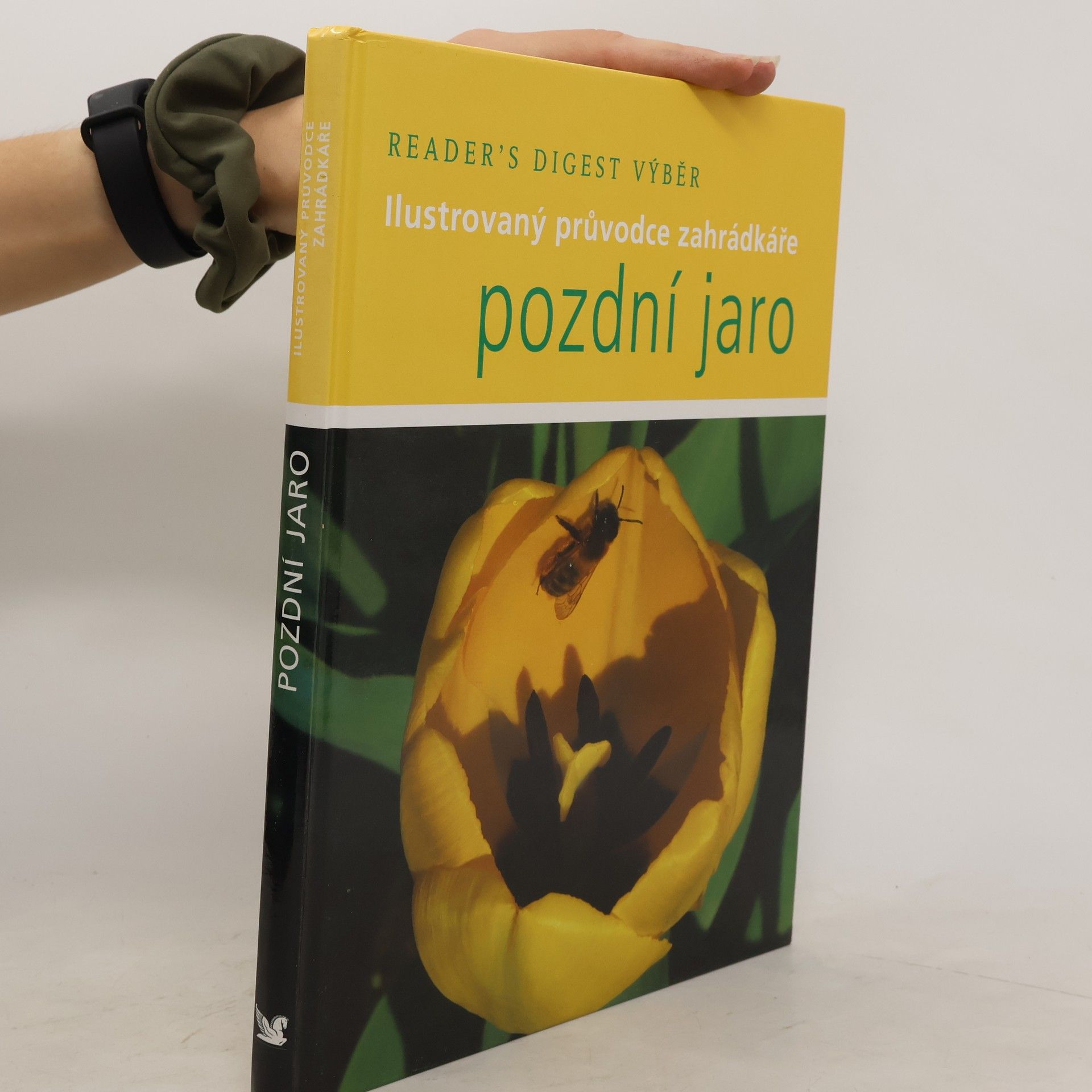 Steve Bradley Pozdní jaro