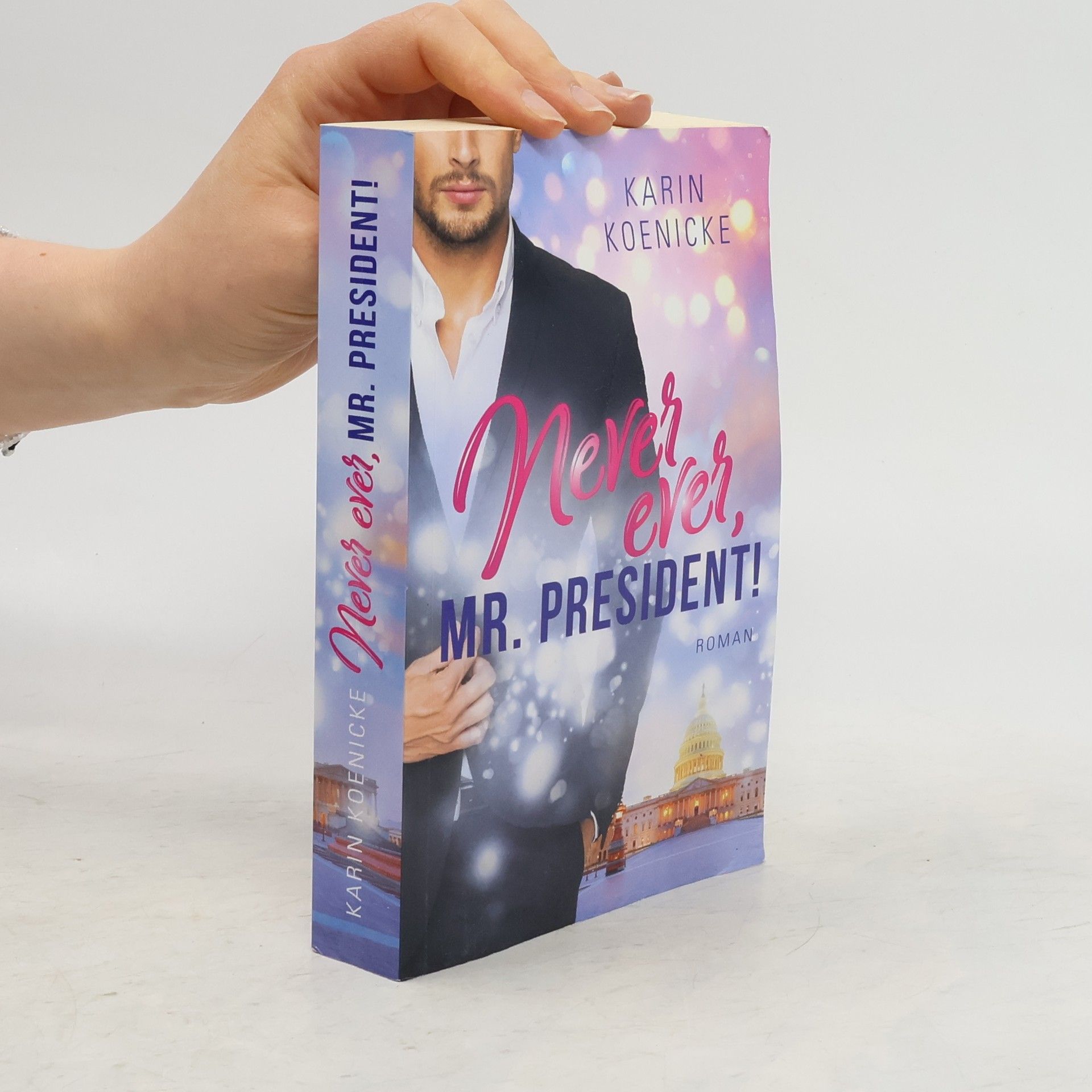 Karin Koenicke Never Ever, Mr. President!