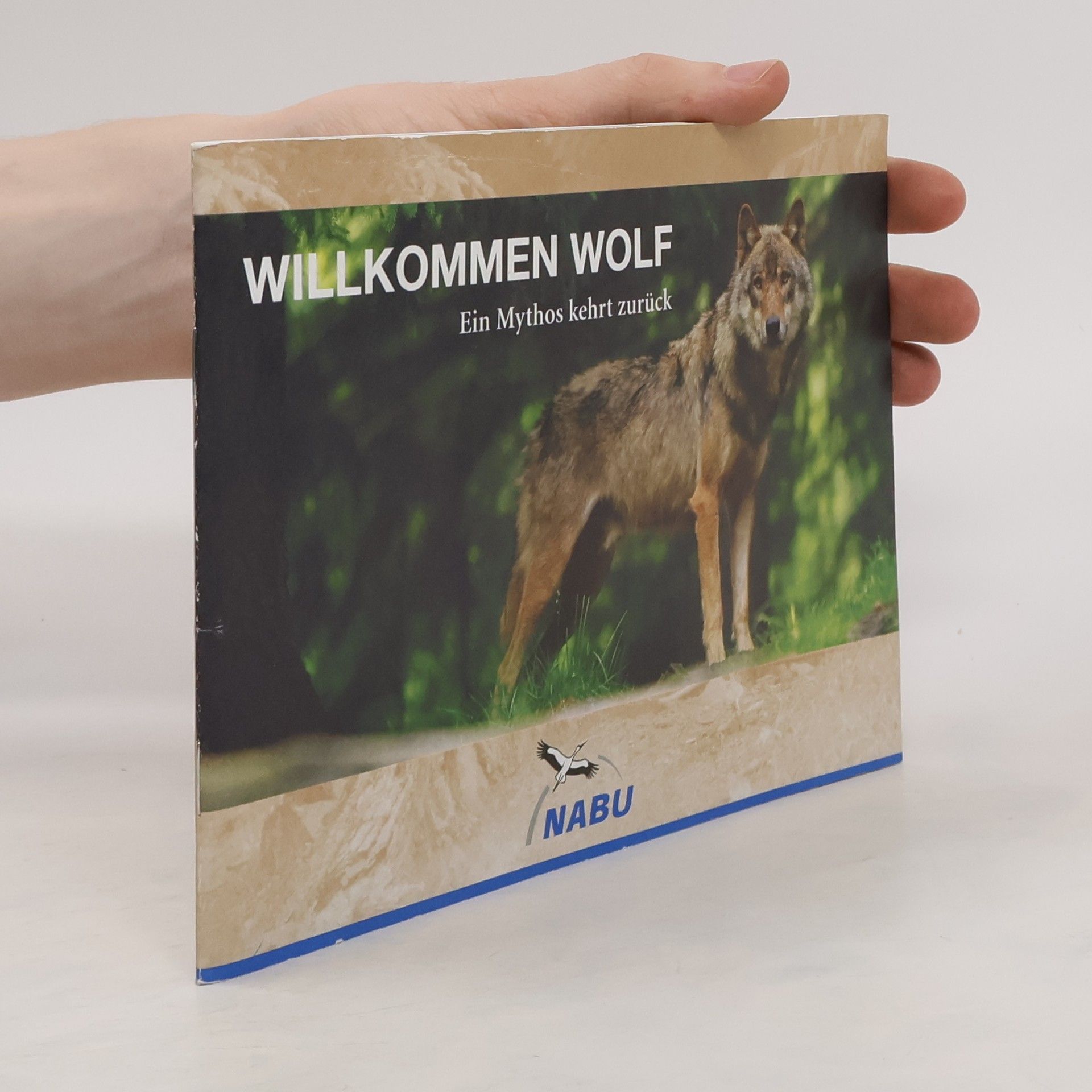kolektiv Willkommen Wolf
