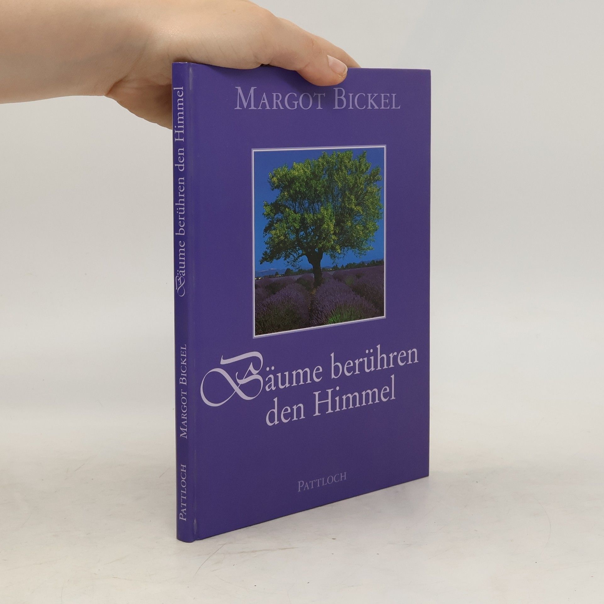 Margot Bickel Bäume berühren den Himmel