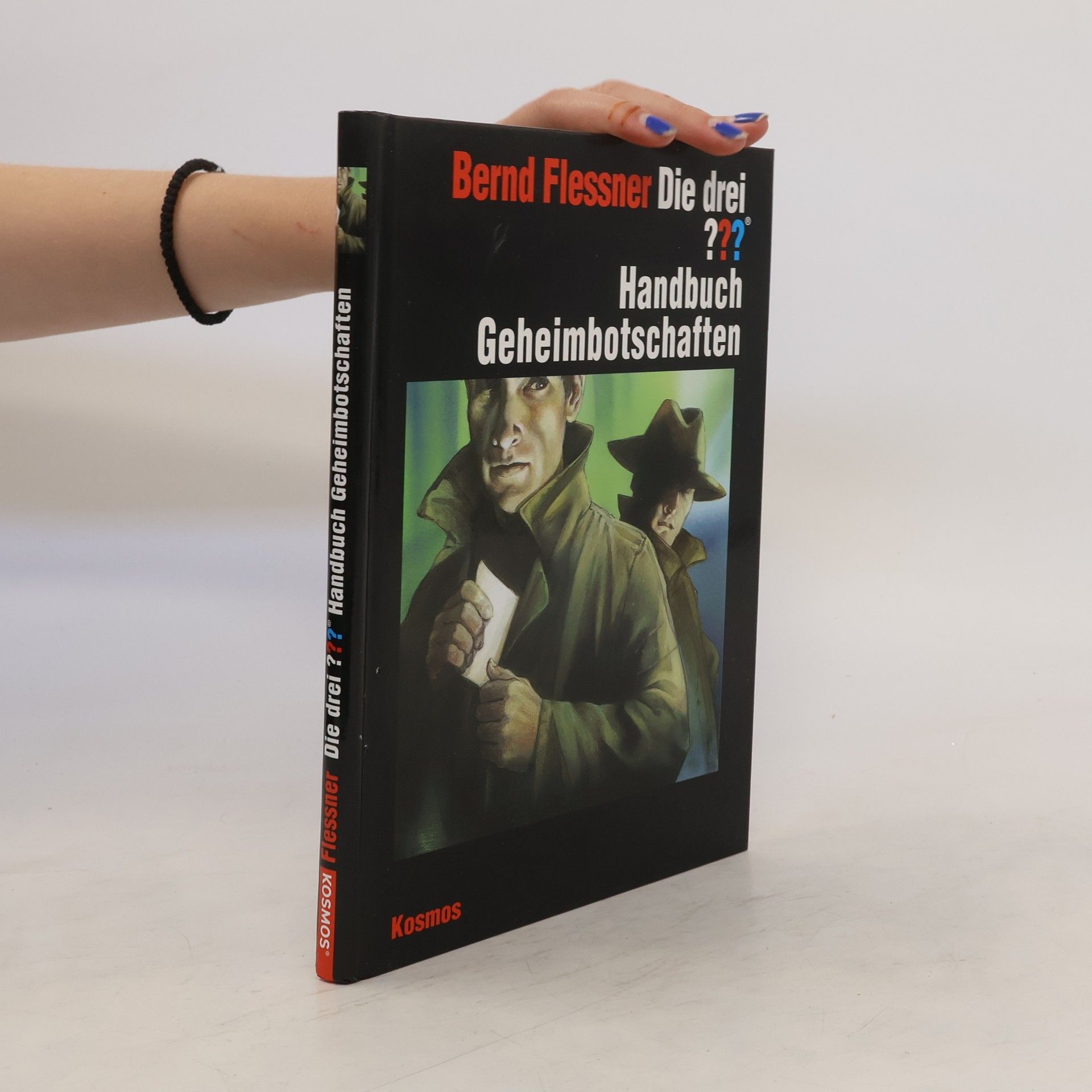 Bernd Flessner Die drei ??? - Handbuch Geheimbotschaften