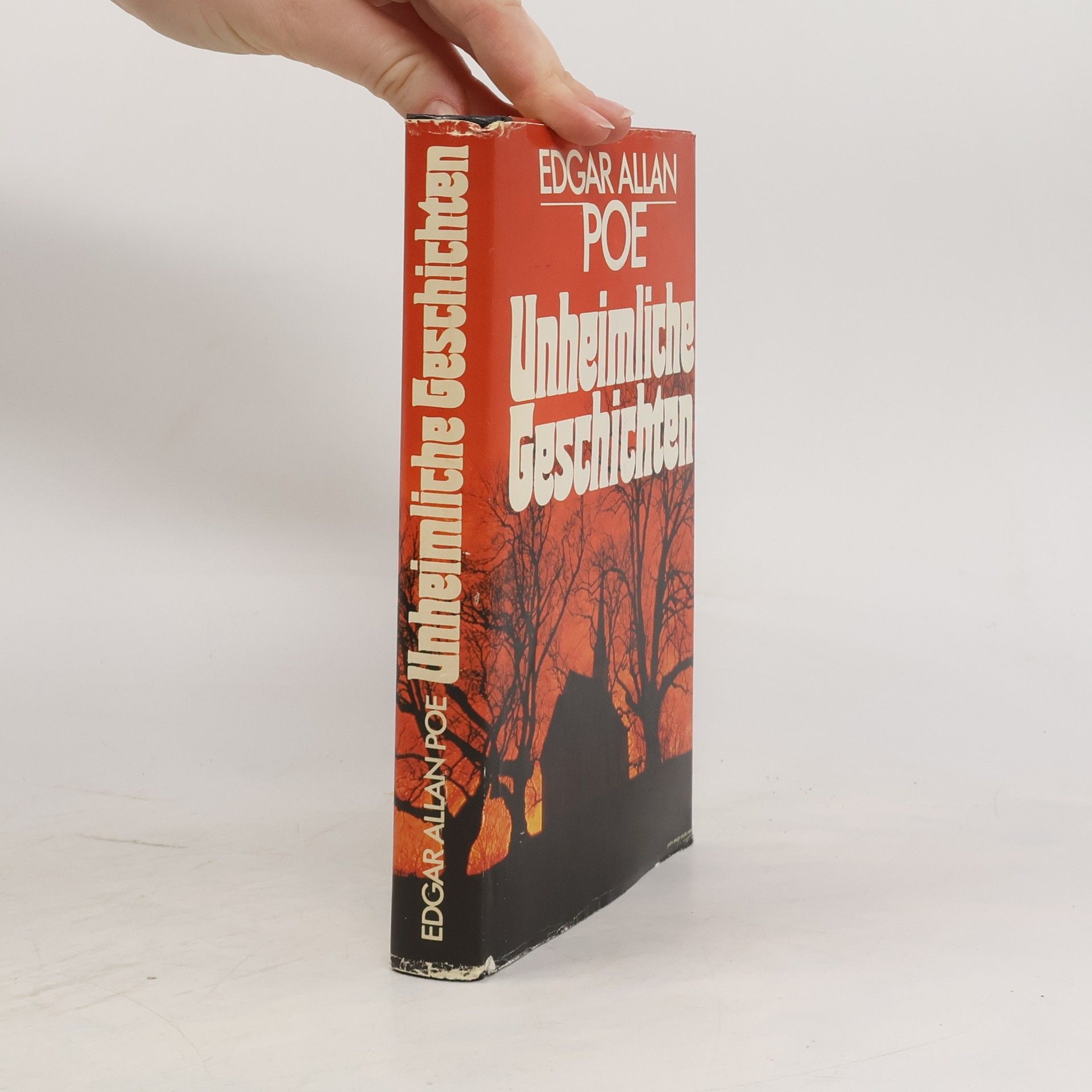 Edgar Allan Poe Unheimliche Geschichten
