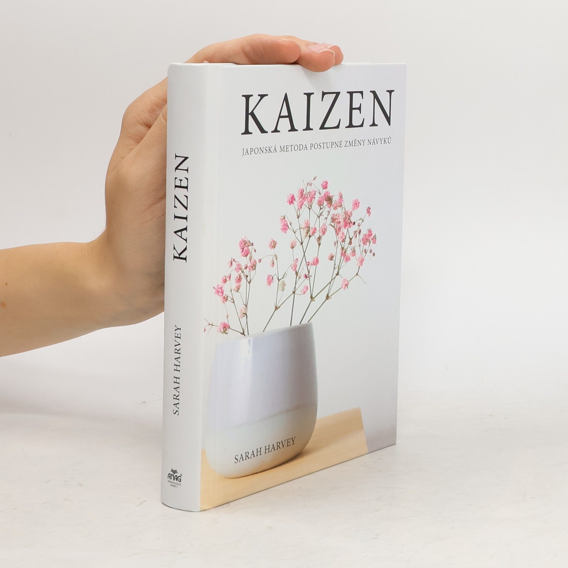 Sarah Harvey Kaizen: Japonská metoda postupné změny návyků