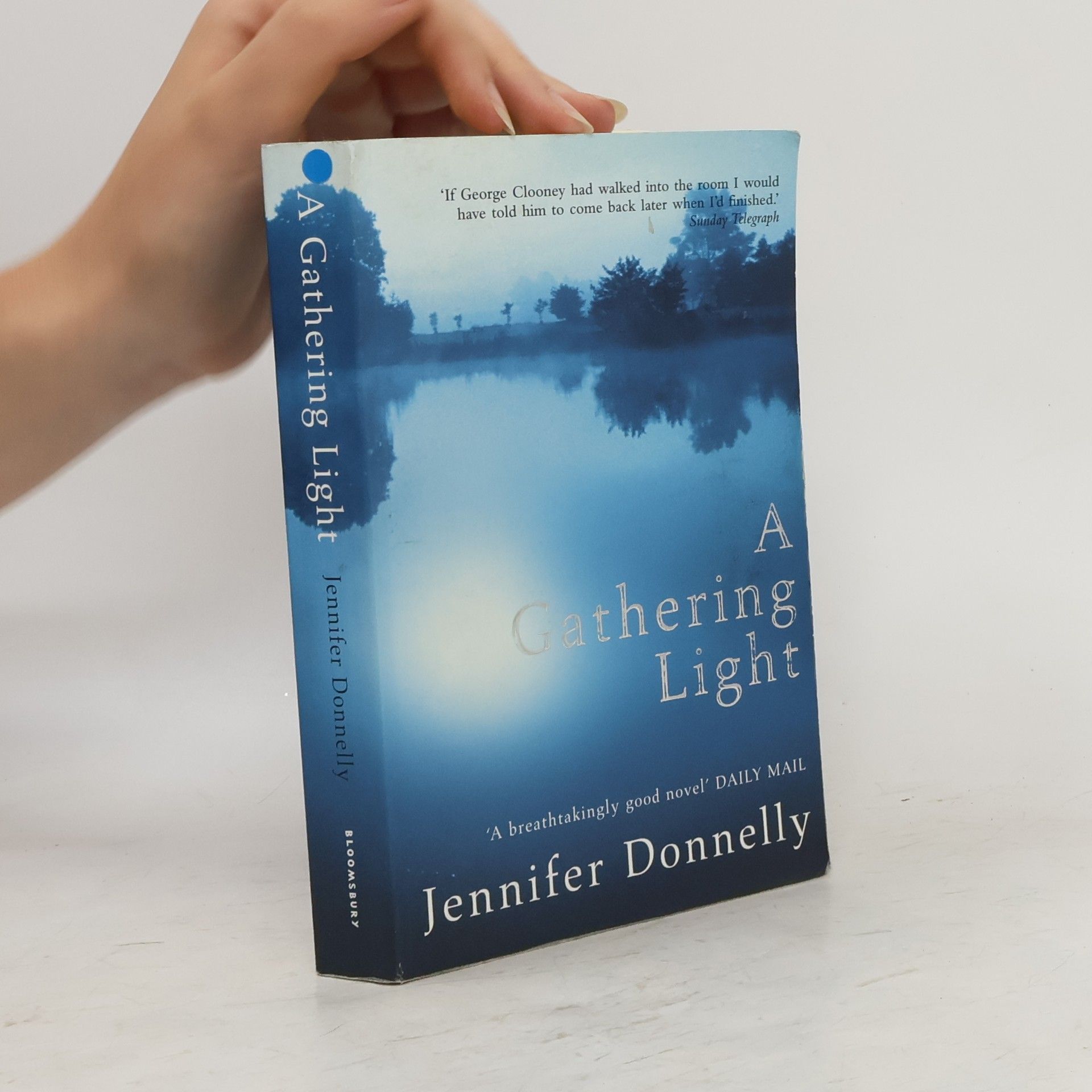 Jennifer Donnelly A gathering light