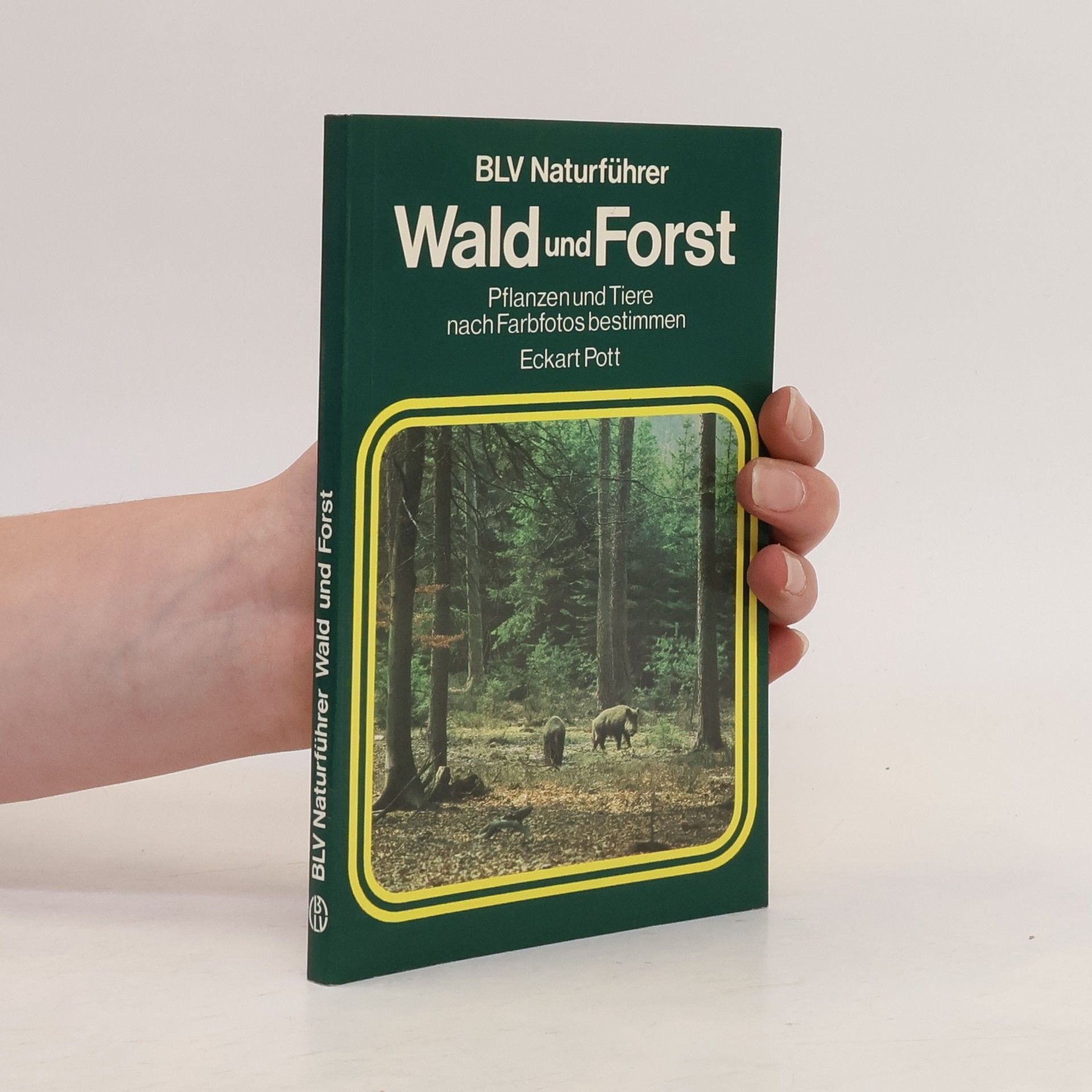 Eckart Pott Wald und Forst