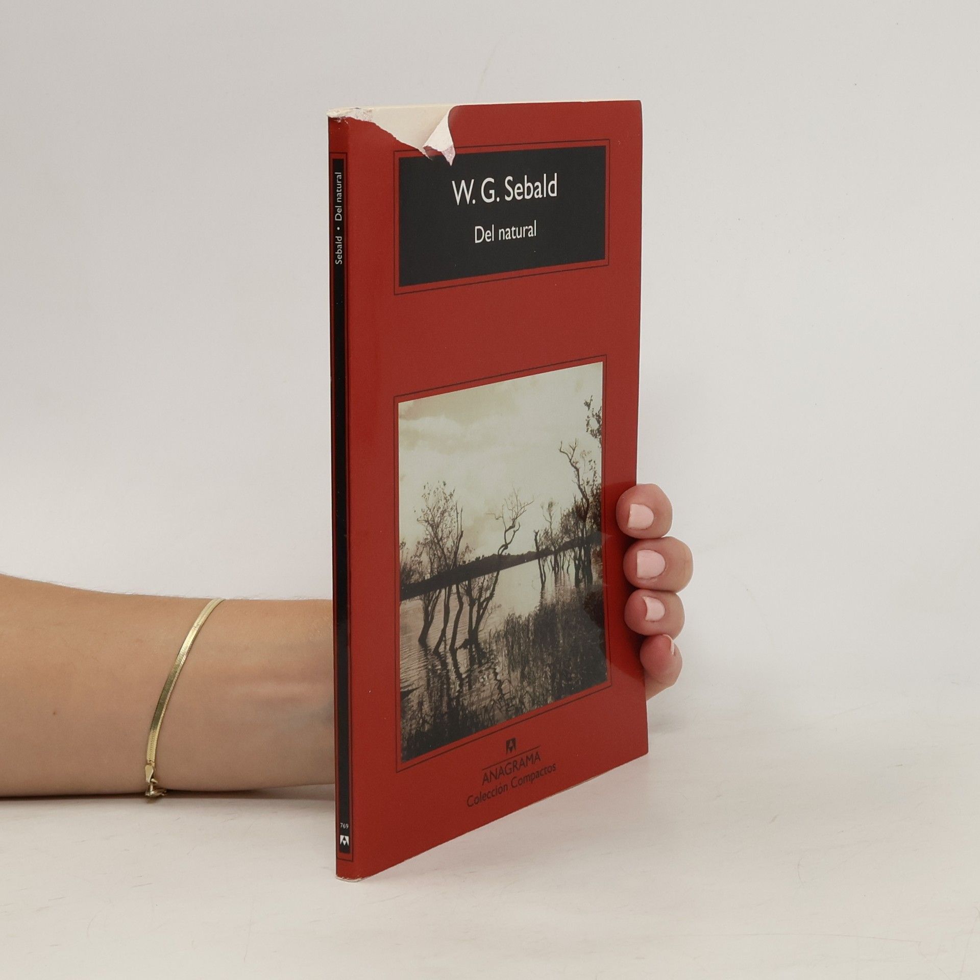 W. G. Sebald Del natural