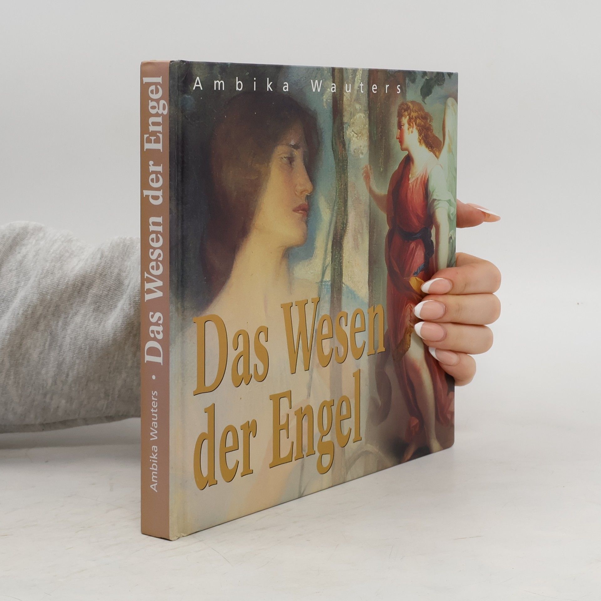 Ambika Wauters Das Wesen der Engel