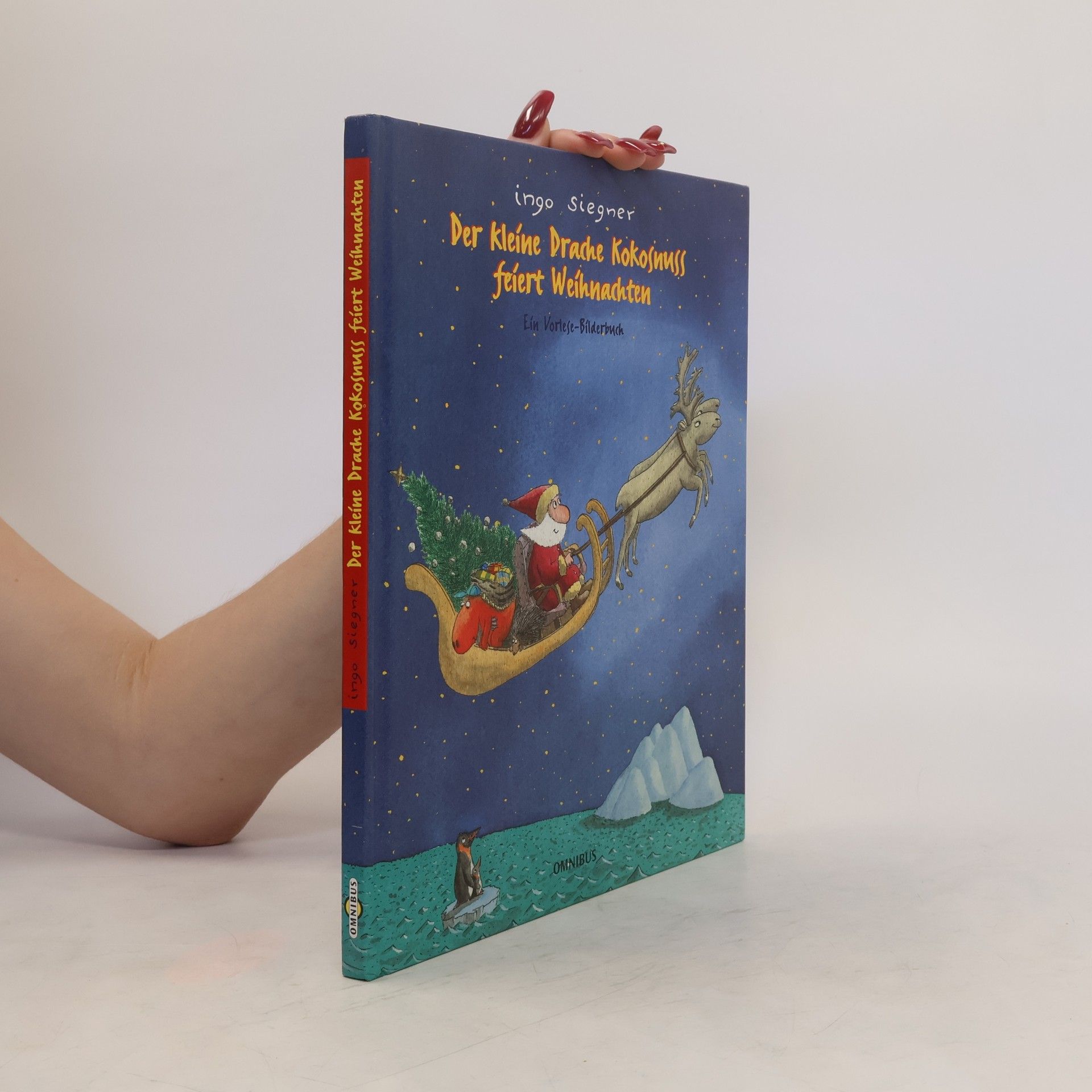 Ingo Seigner Der kleine Drache Kokosnuss feiert Weihnachten